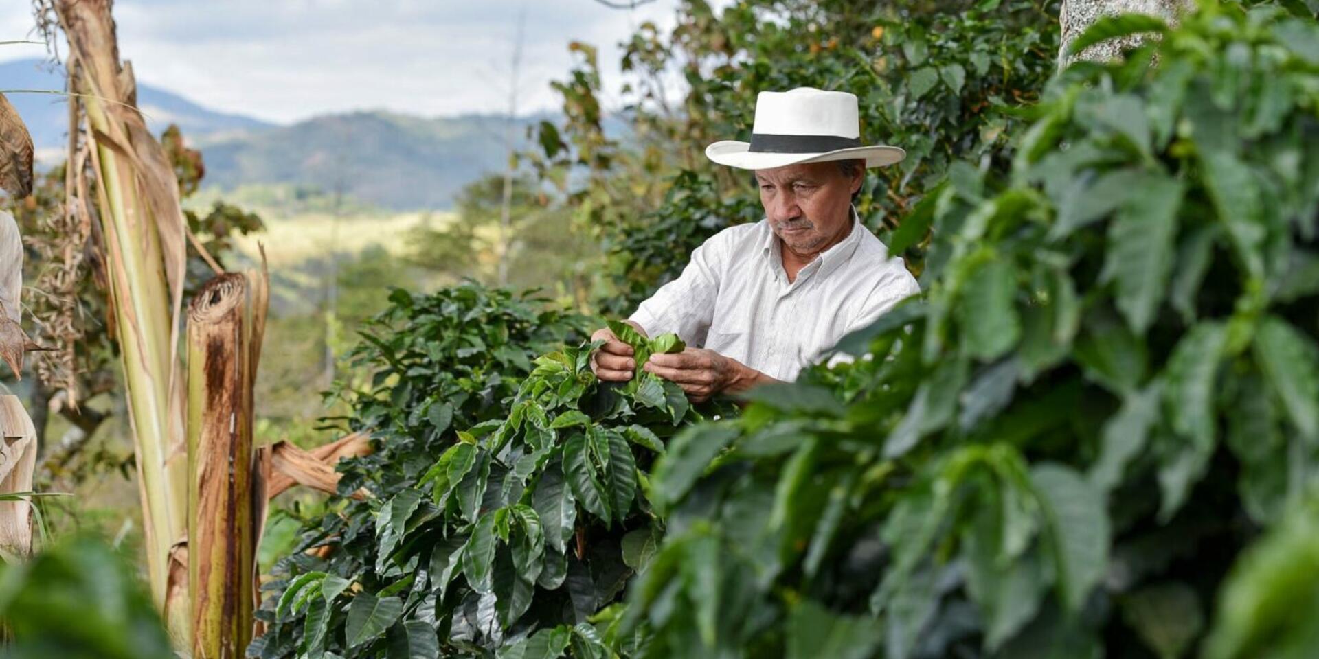 Colombia - Alliance Bioversity International - CIAT