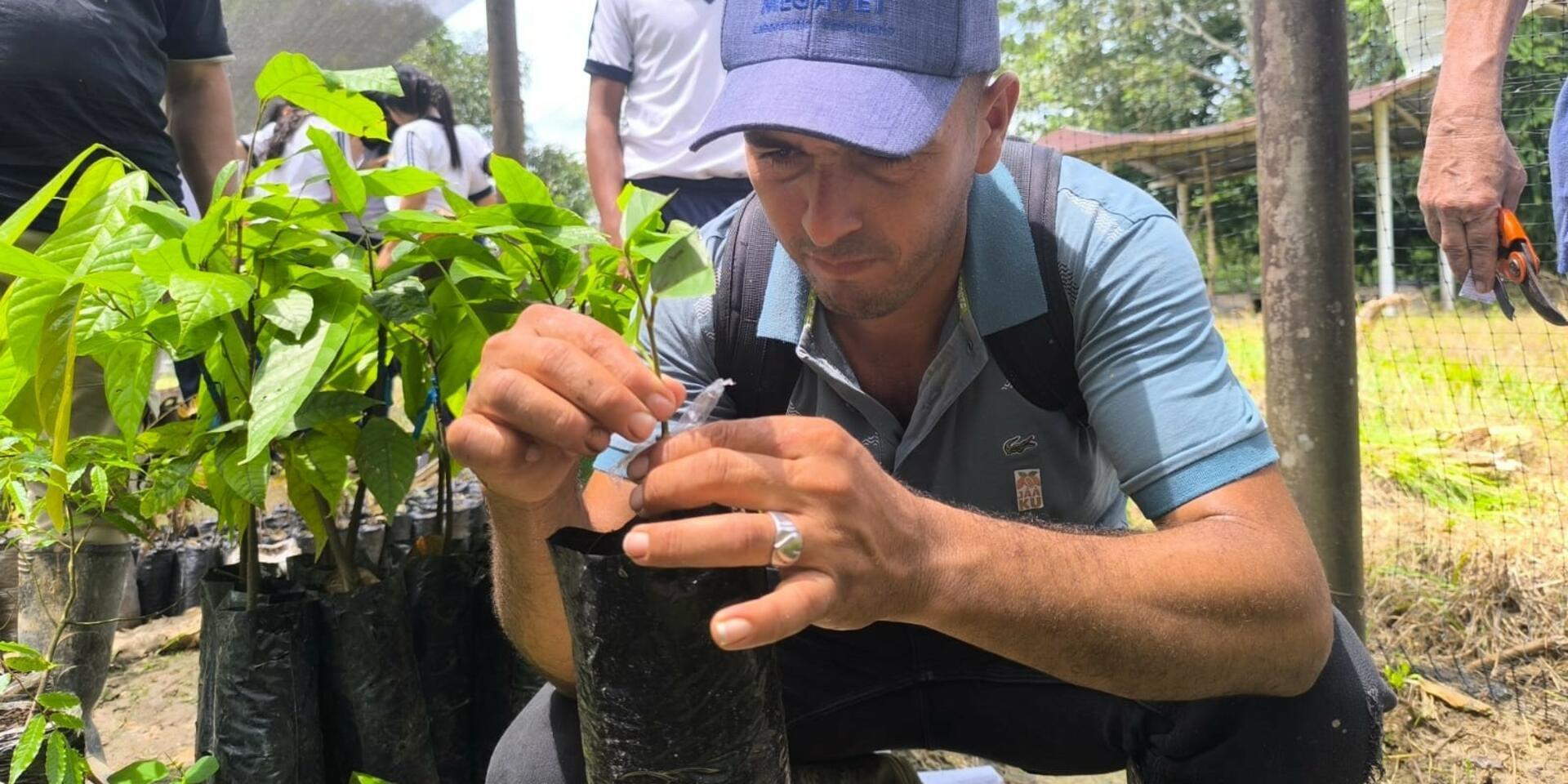 Comit&eacute; de la Cadena del Cacao del Caquet&aacute; - Una historia de crecimiento e incidencia tejida durante nueve a&ntilde;os en los bosques de la Amazon&iacute;a colombiana