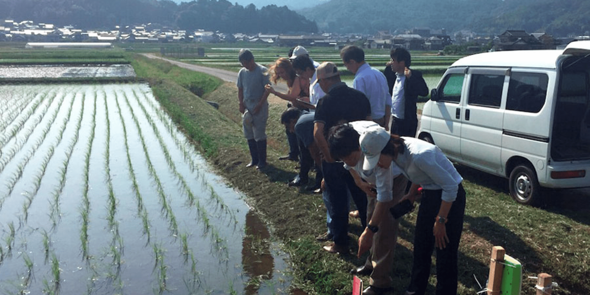 Proyecto colombo japon&eacute;s, oportunidad para fortalecer al sector arrocero colombiano