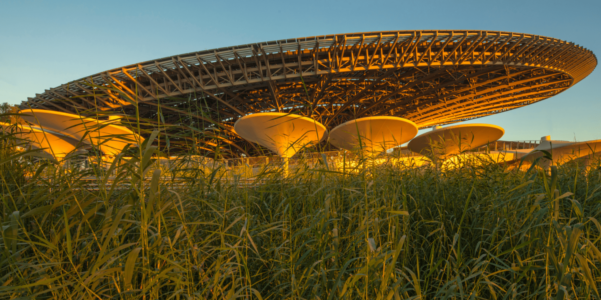 COP28 - Alliance Bioversity International - CIAT