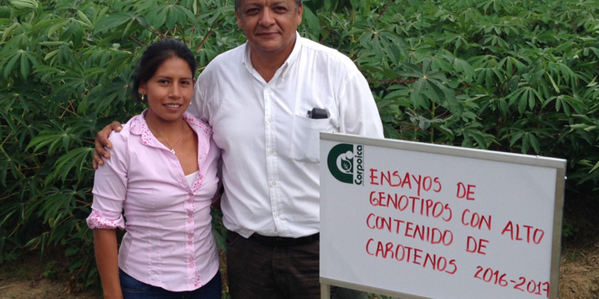 La yuca, una ra&iacute;z que une a Corpoica y al CIAT