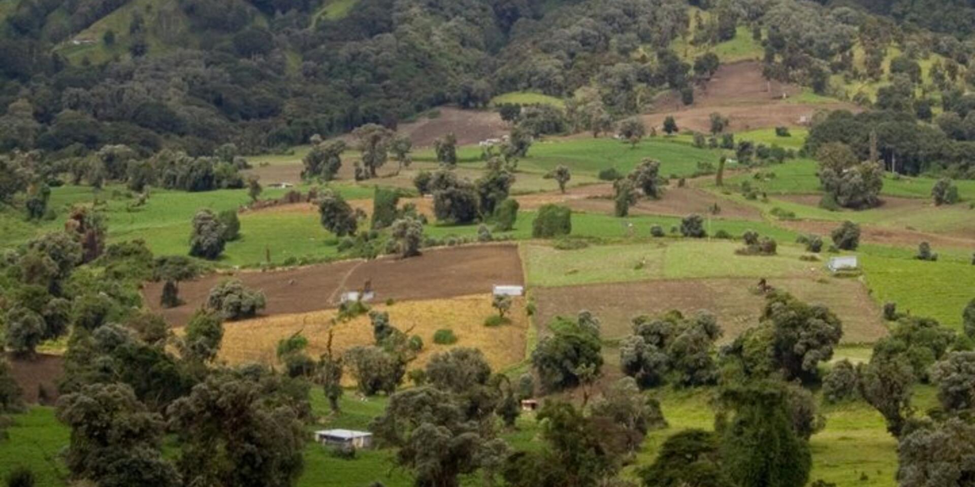 Climate-smart territories &mdash; An interview with Jacob van Etten