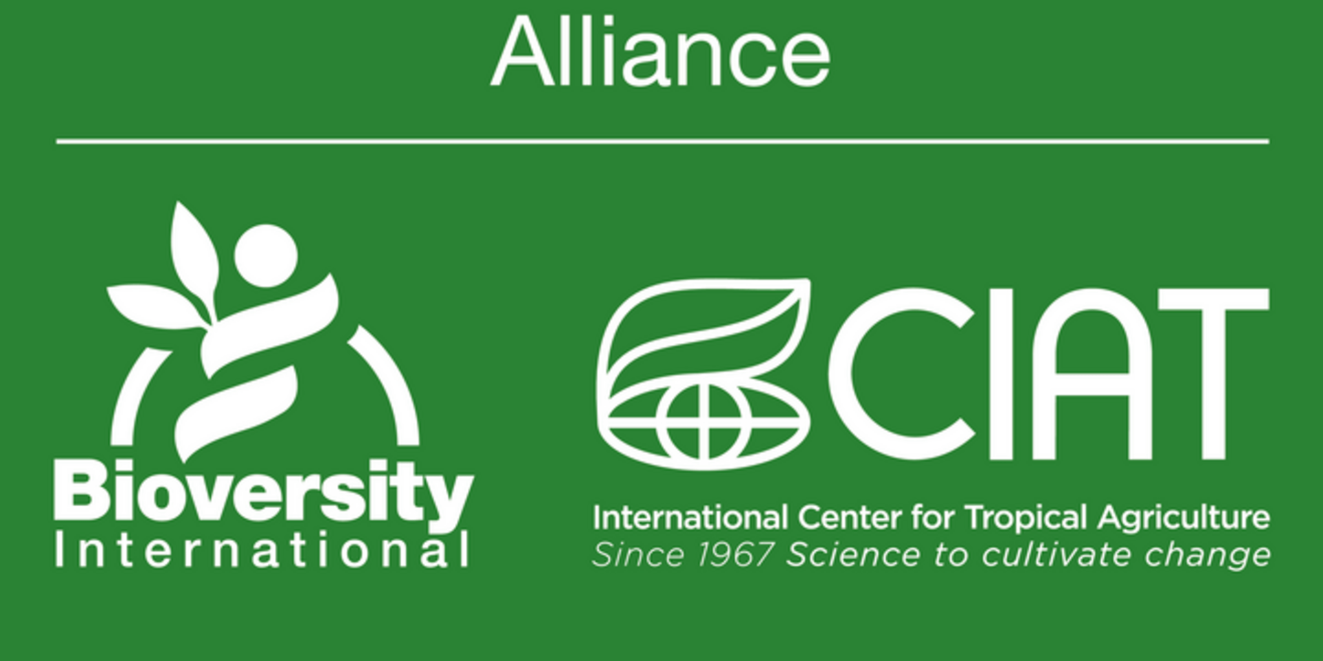Bioversity International and CIAT continue to make exciting progress in establishing an Alliance