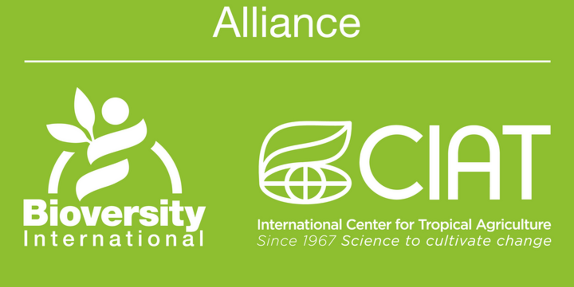 Bioversity International and CIAT advance in building an Alliance