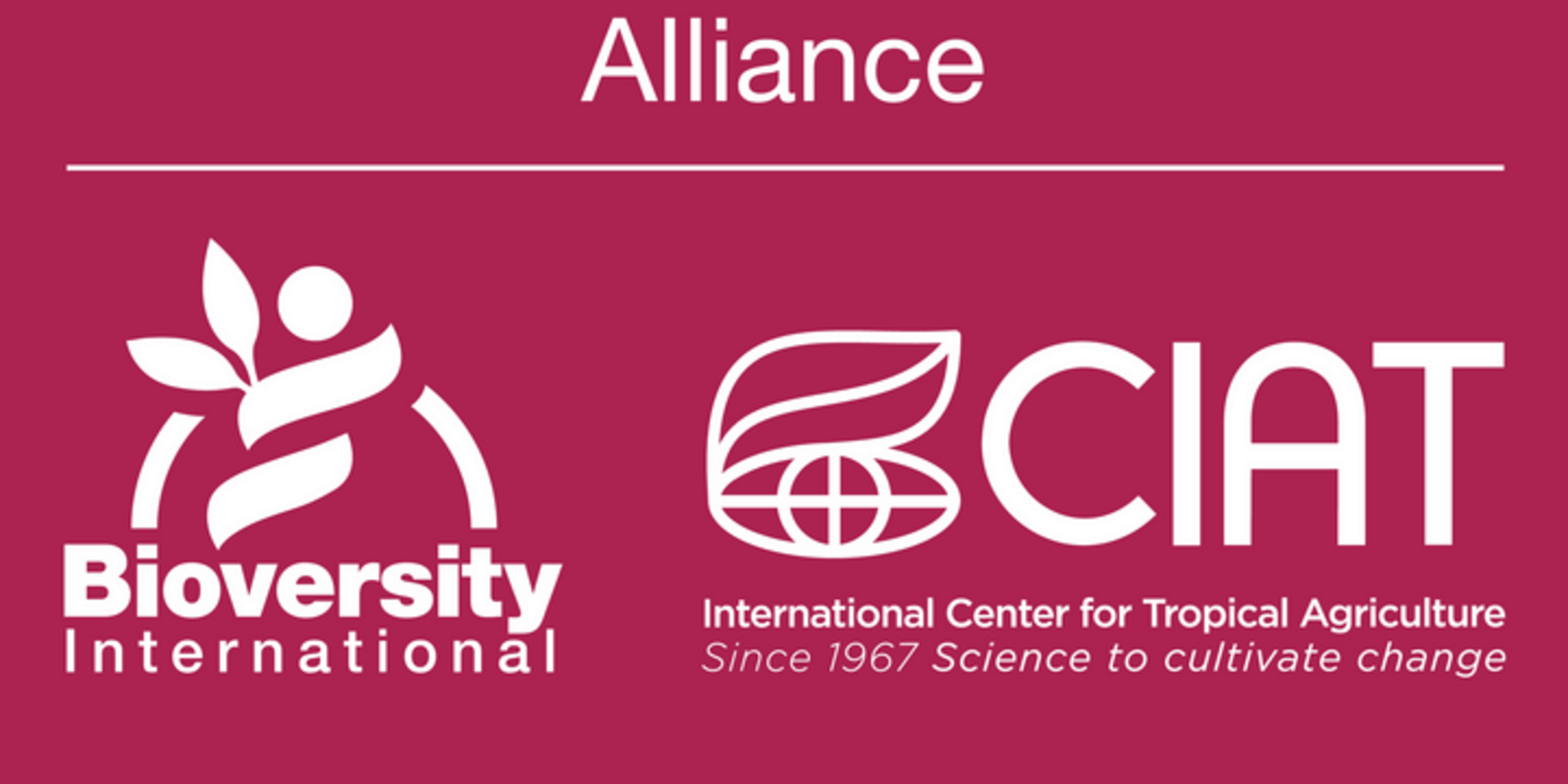 Bioversity International and CIAT to establish an Alliance