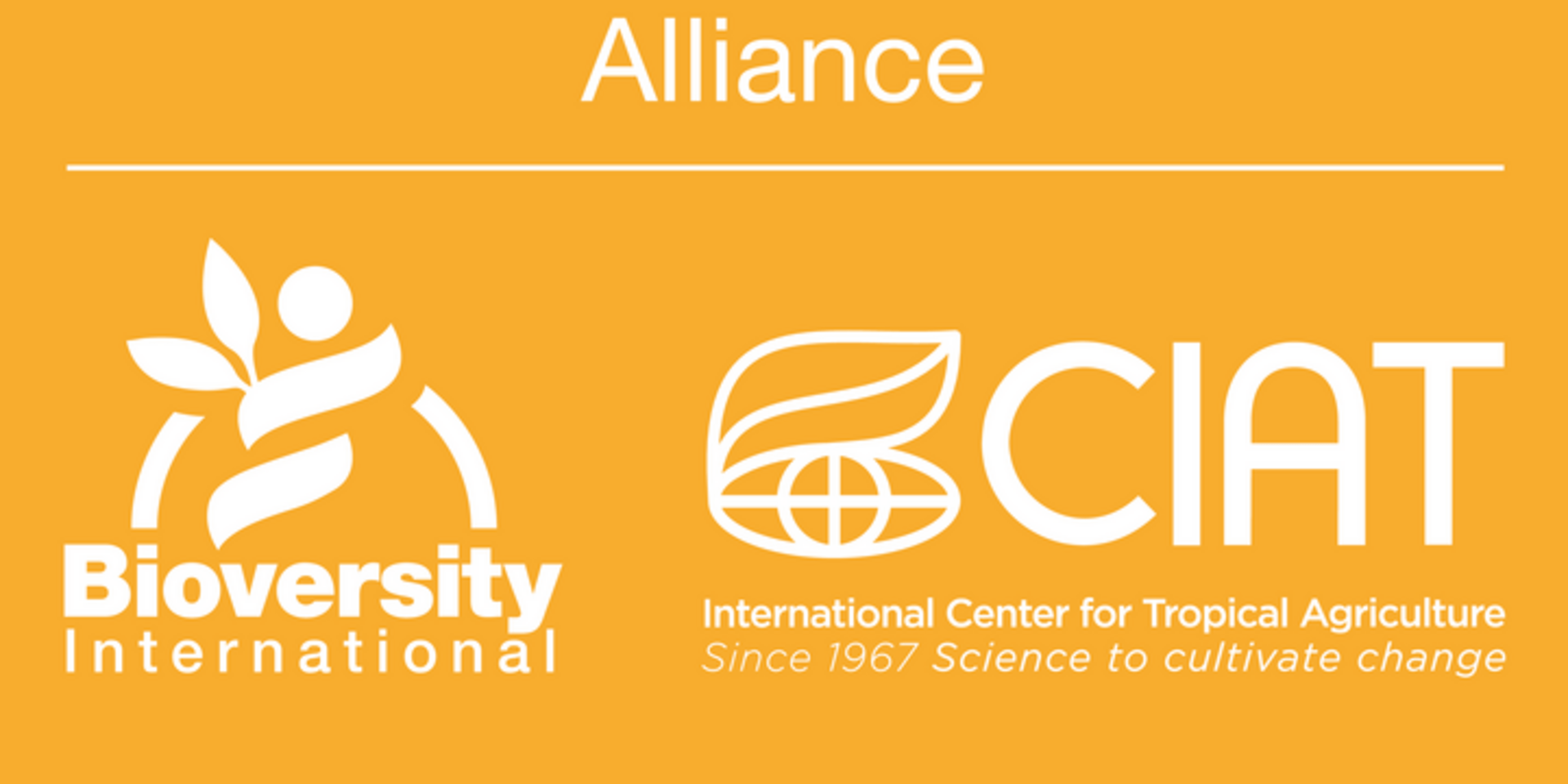 Bioversity International and CIAT implement a roadmap to make the Alliance operative