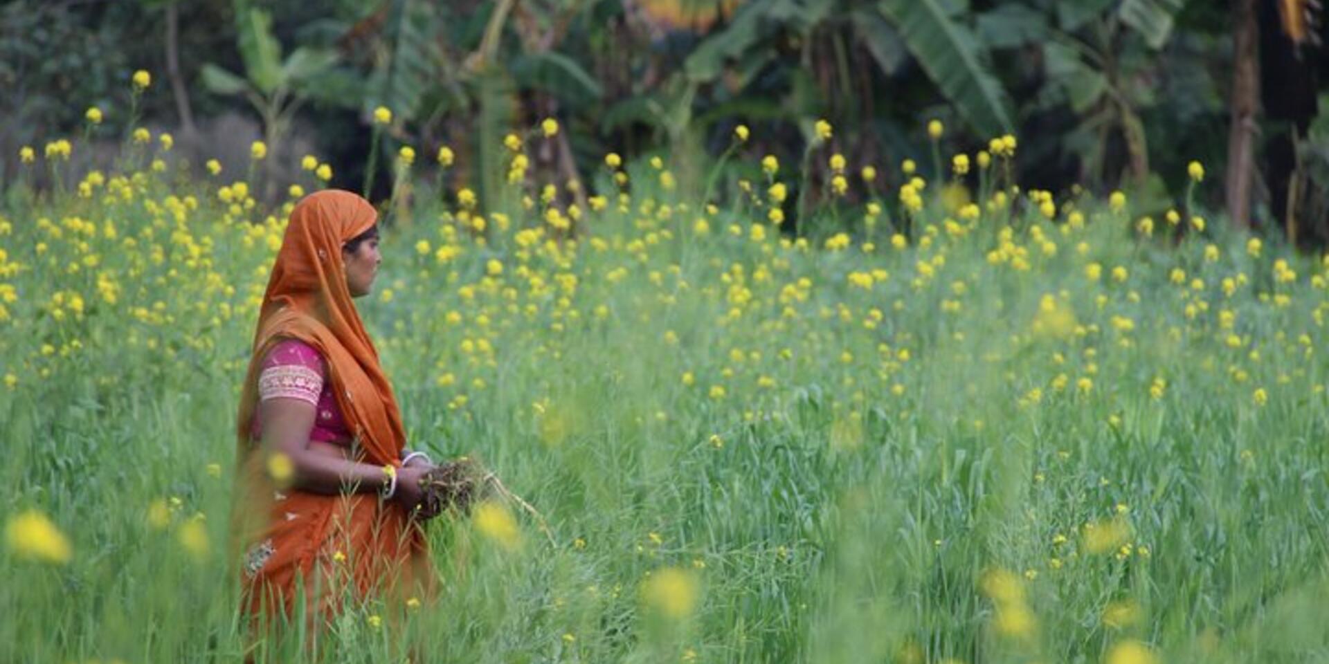 Bioversity International Annual Report 2015 published today