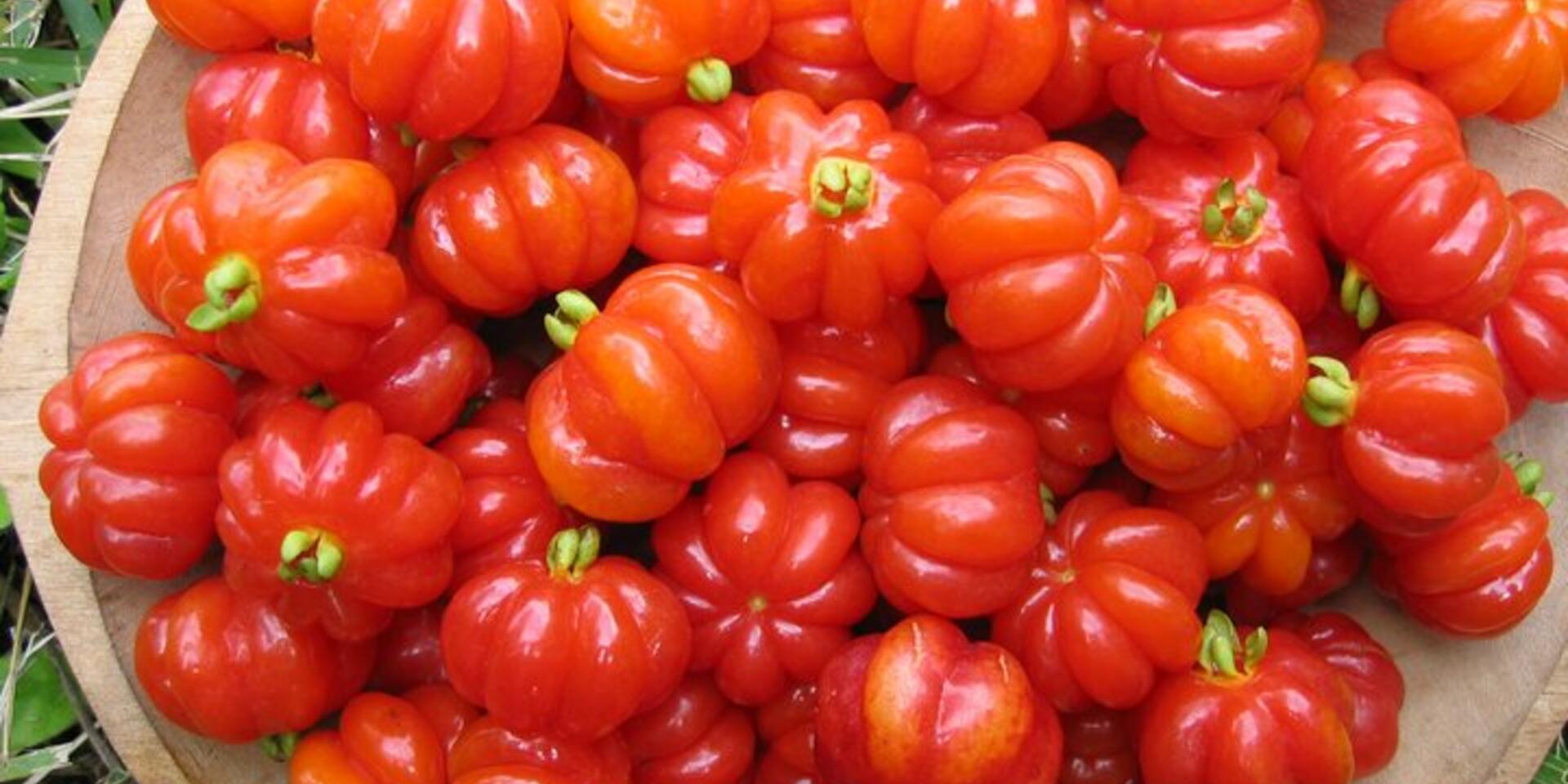 Biodiversity for food and nutrition