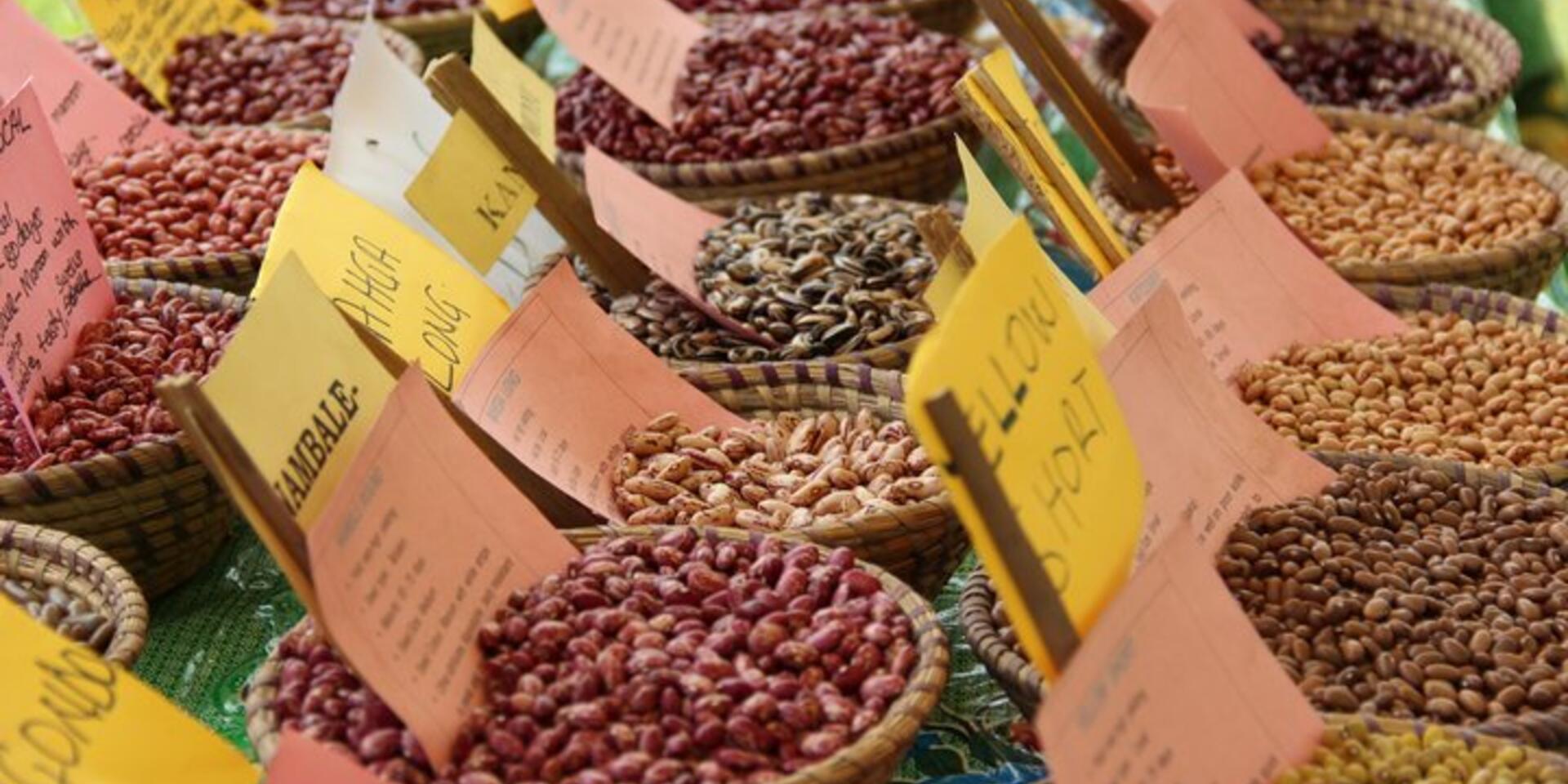 Increasing access to quality and diverse seed: A journey to the Kiziba community seedbank