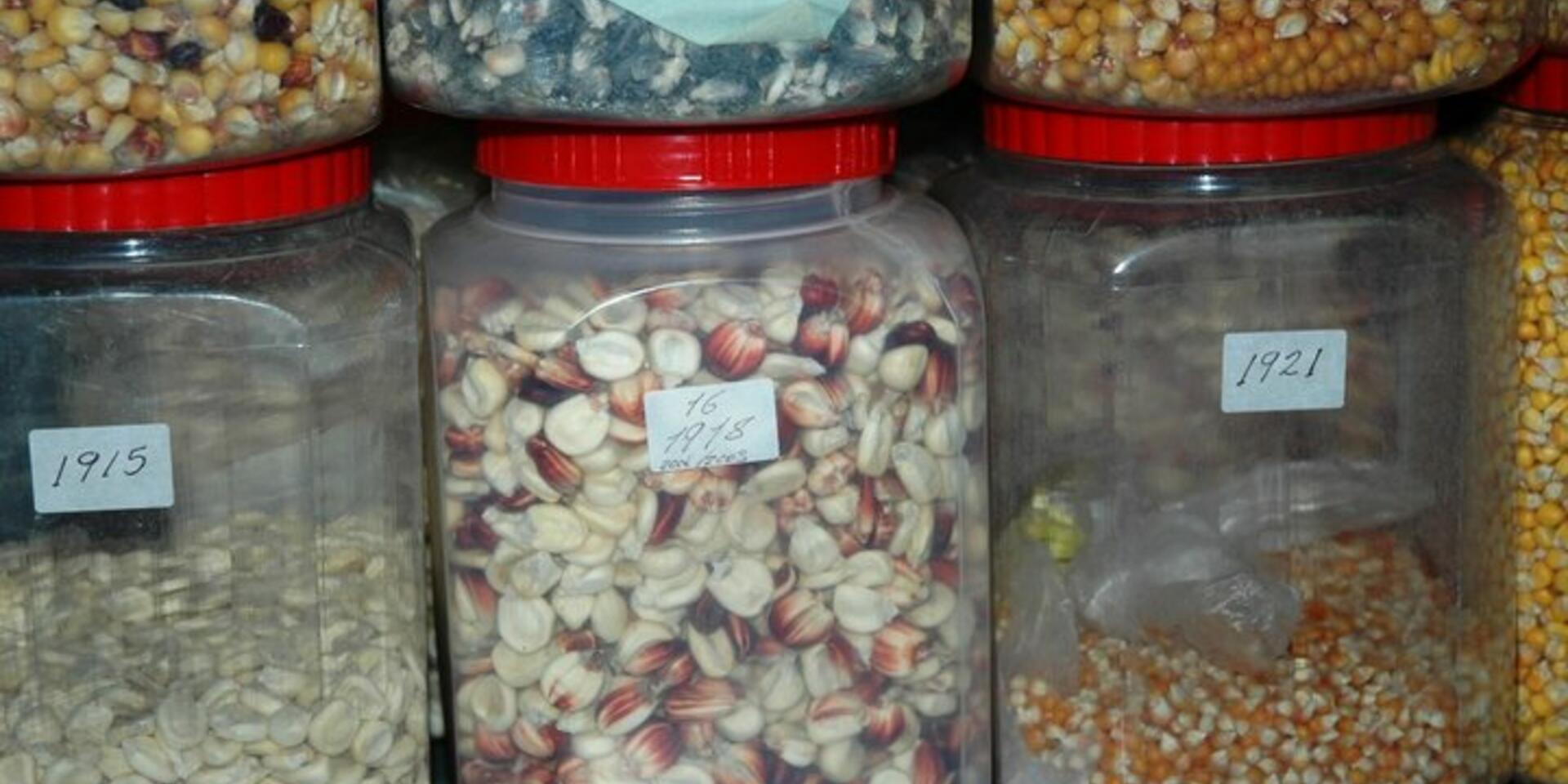 Collecting missions: an online agricultural heritage