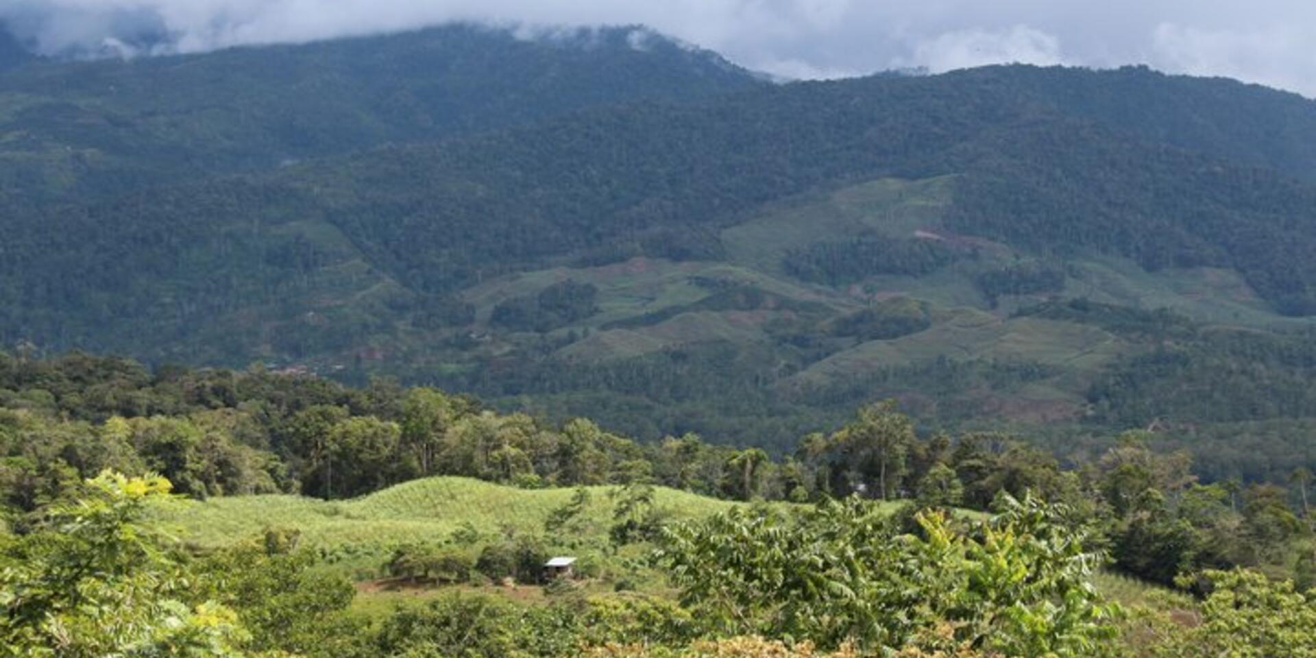 Costa Rica improves risk-management with digital emergency response system