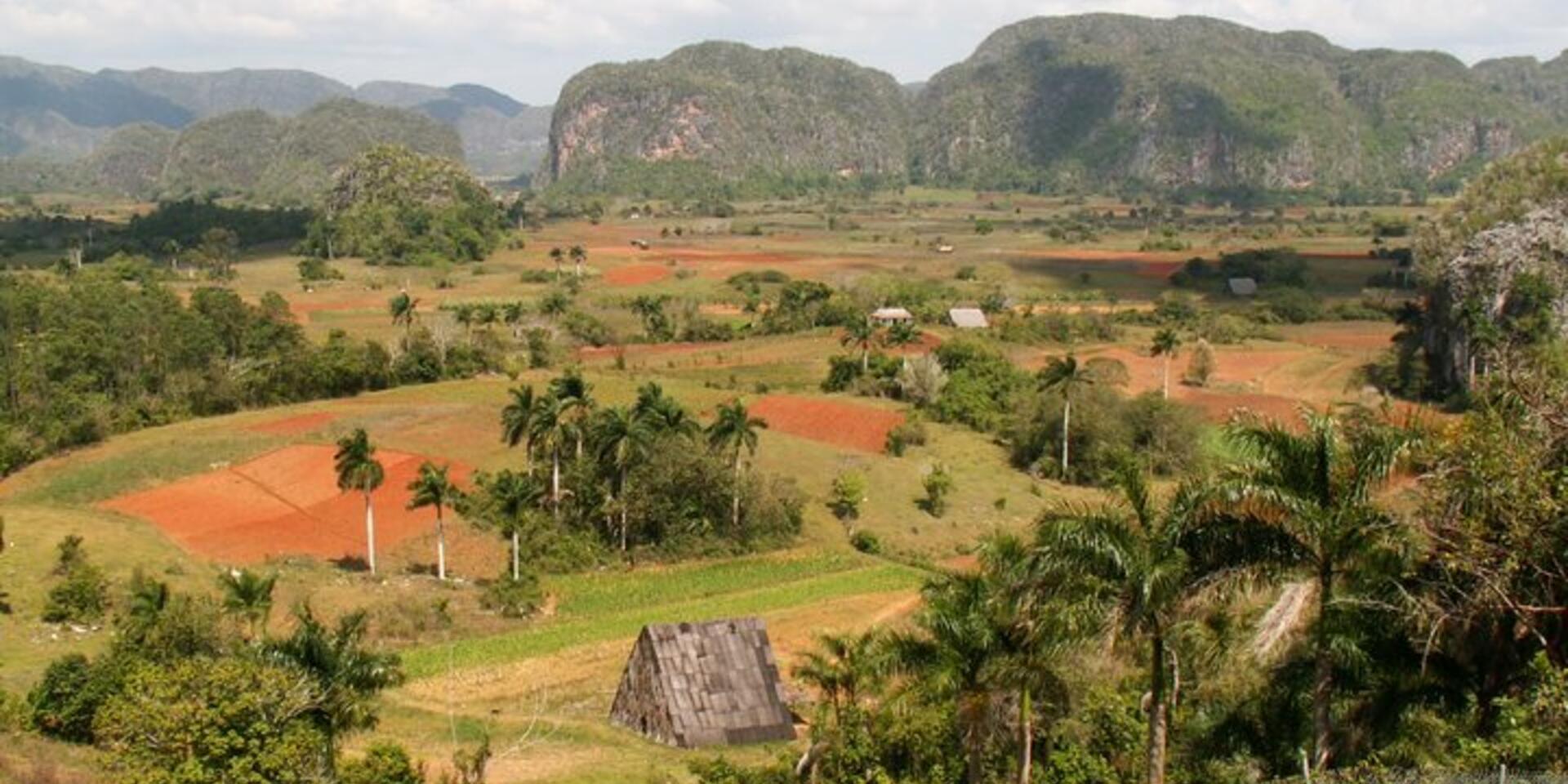 Landscapes as sources of traditional, culturally-acceptable and nutritious food