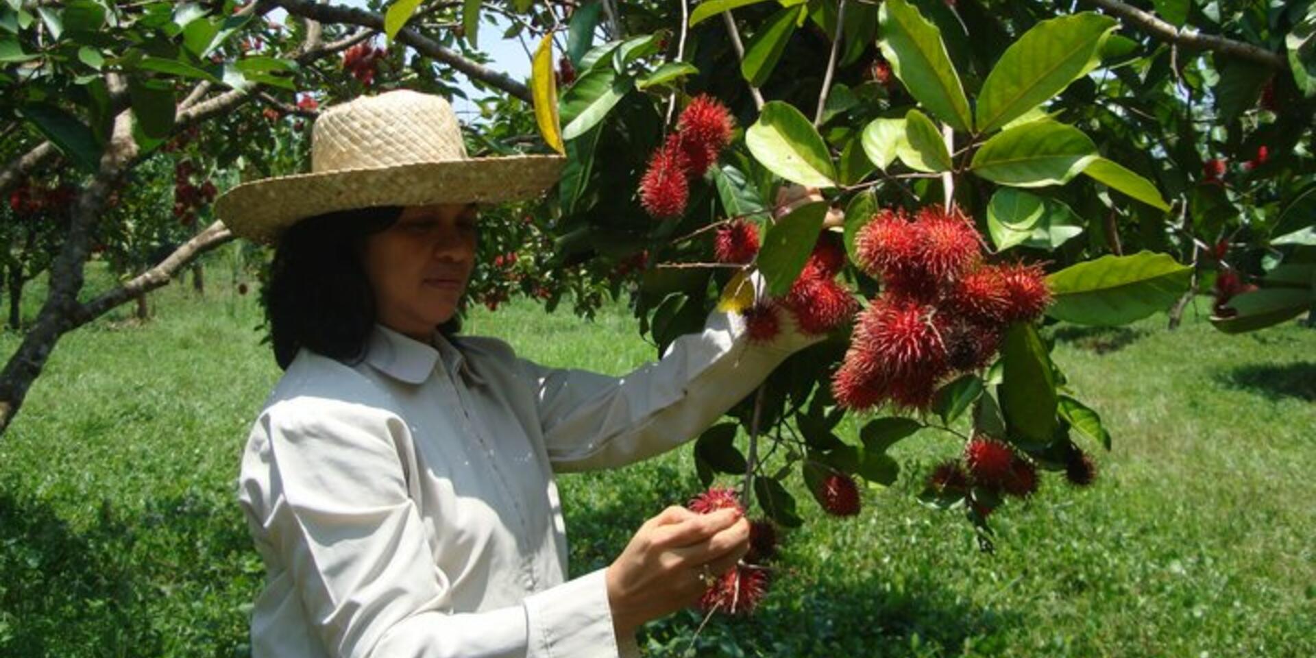 New publication reveals that farmers are the best source for conservation practices