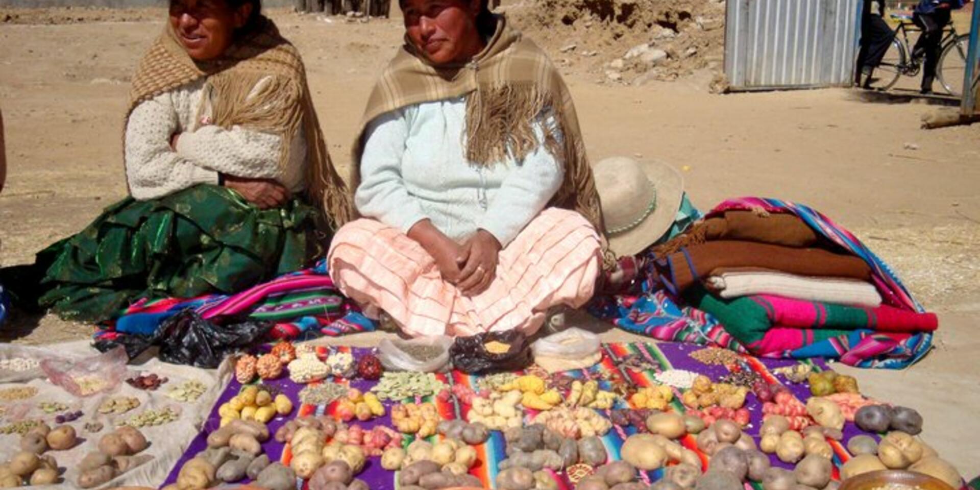 Resilient seeds for the future of food