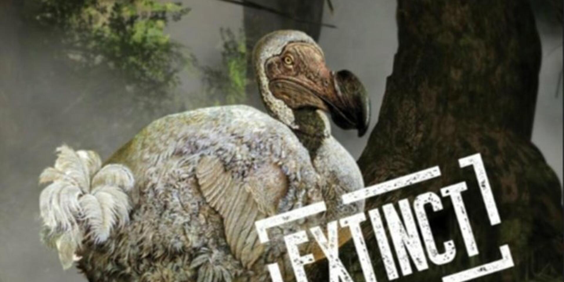 Crop wild relatives &ndash; are they going to end up like the dodo?