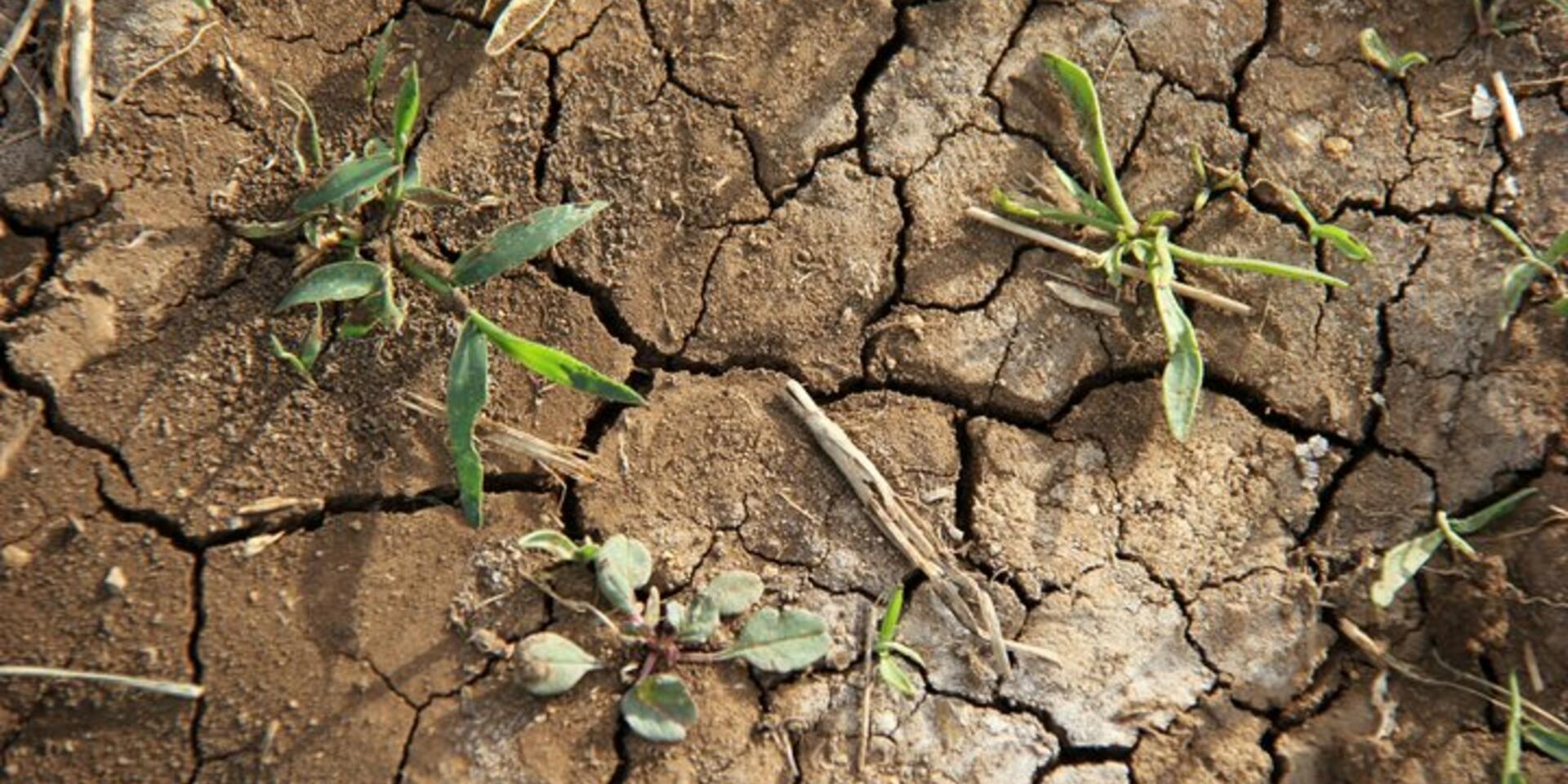 The climate is changing. Food and agriculture must too.