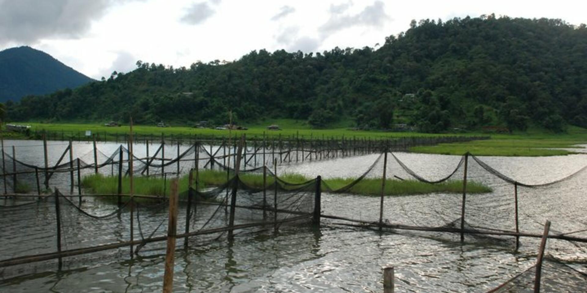 Ecosystem services: How scales affect management planning