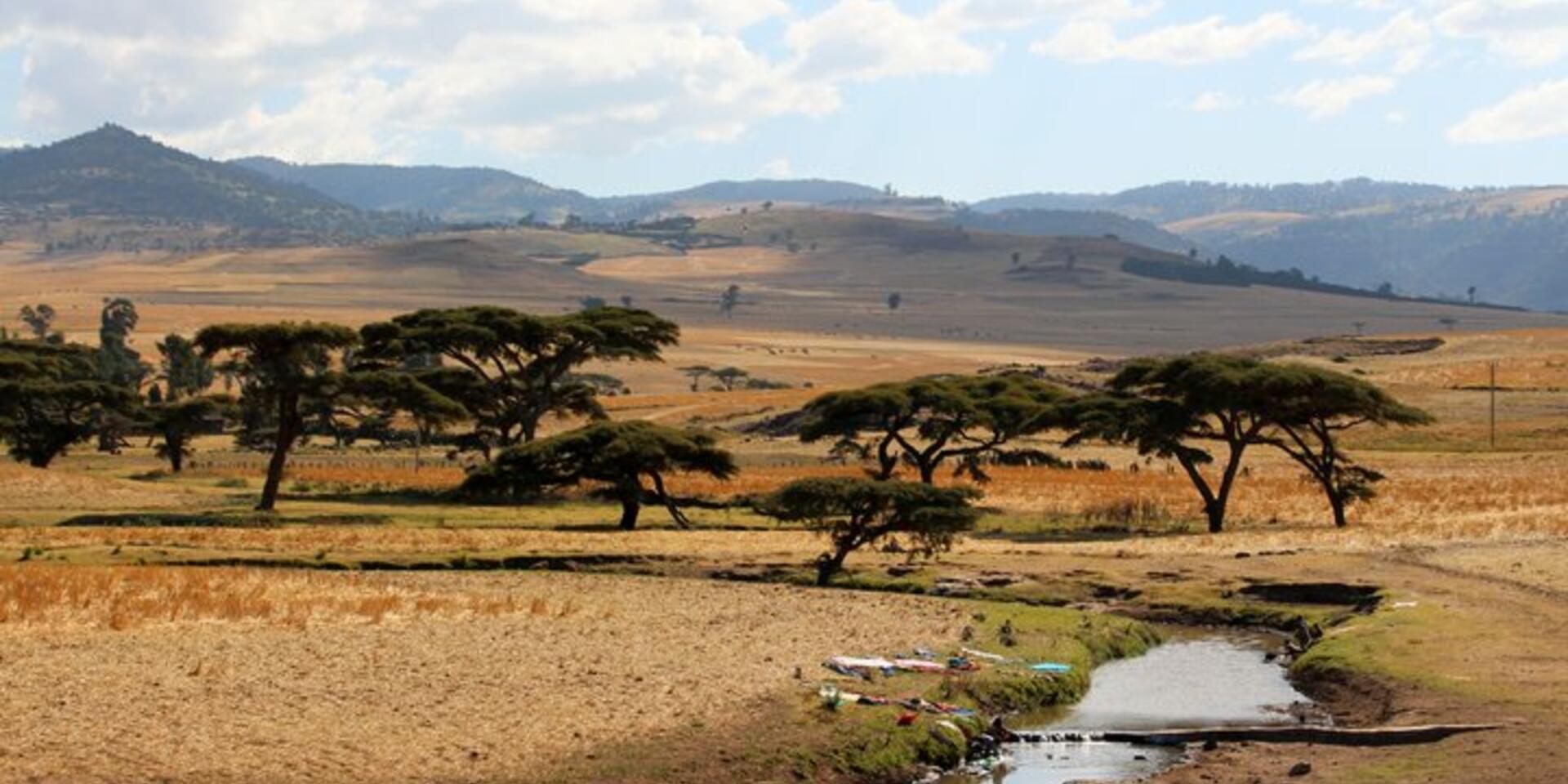 Agrobiodiversity characteristics for multiple benefits in restored agricultural systems