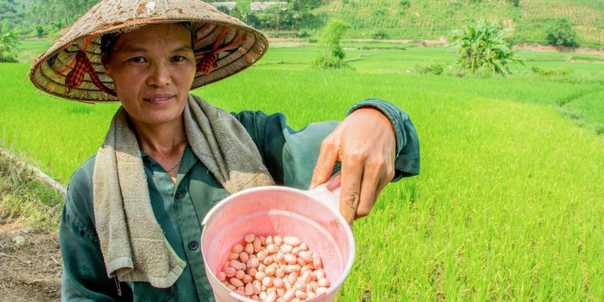 Vietnamese farmers debate options in the face of a changing climate