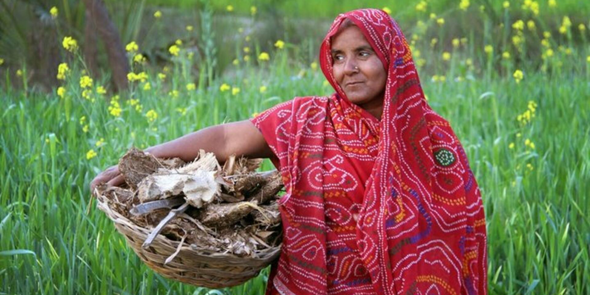 &lsquo;Memoir of a shea tree&rsquo; and other stories call for votes