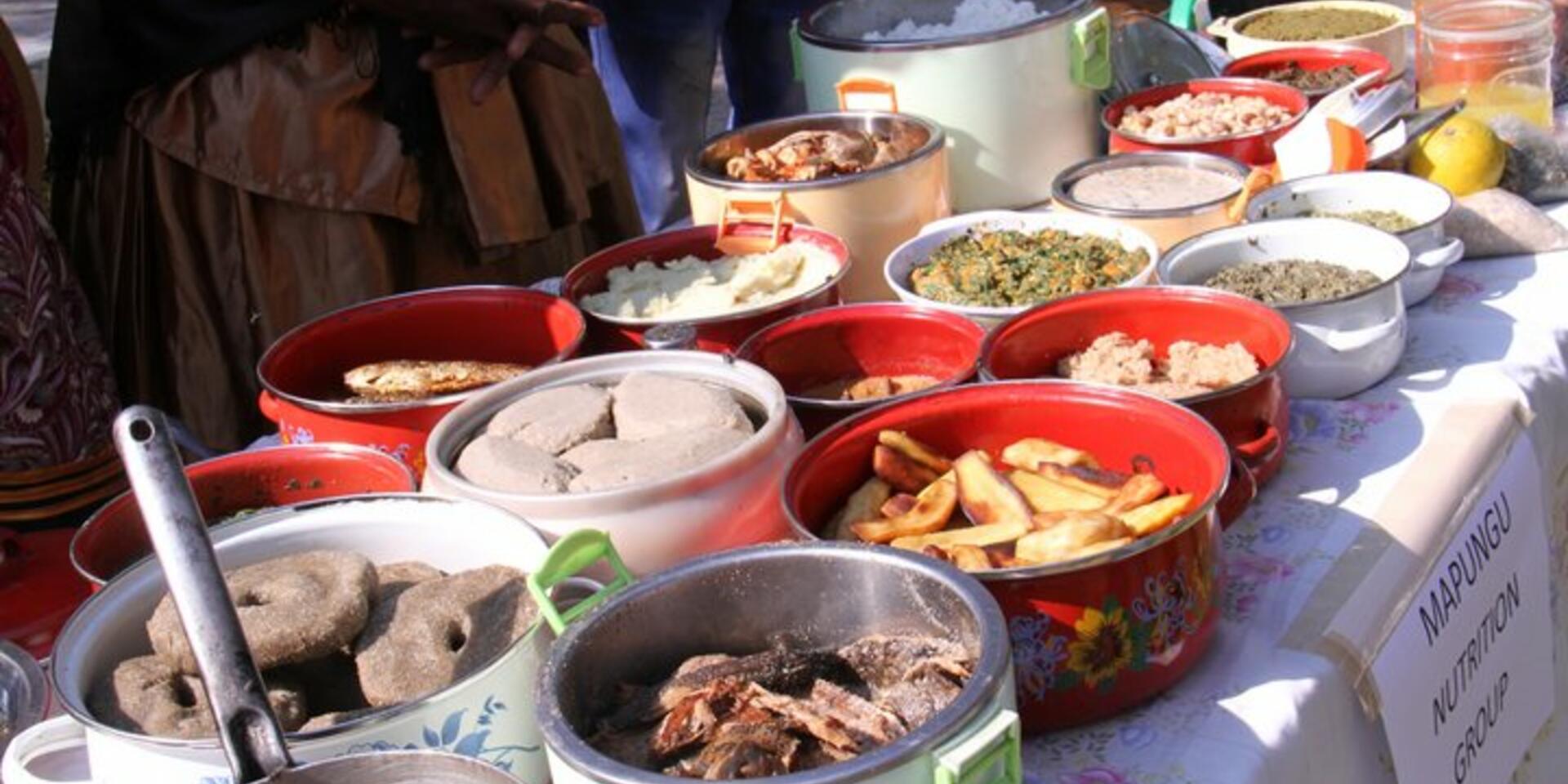 A spotlight on the UN Decade of Action on Nutrition