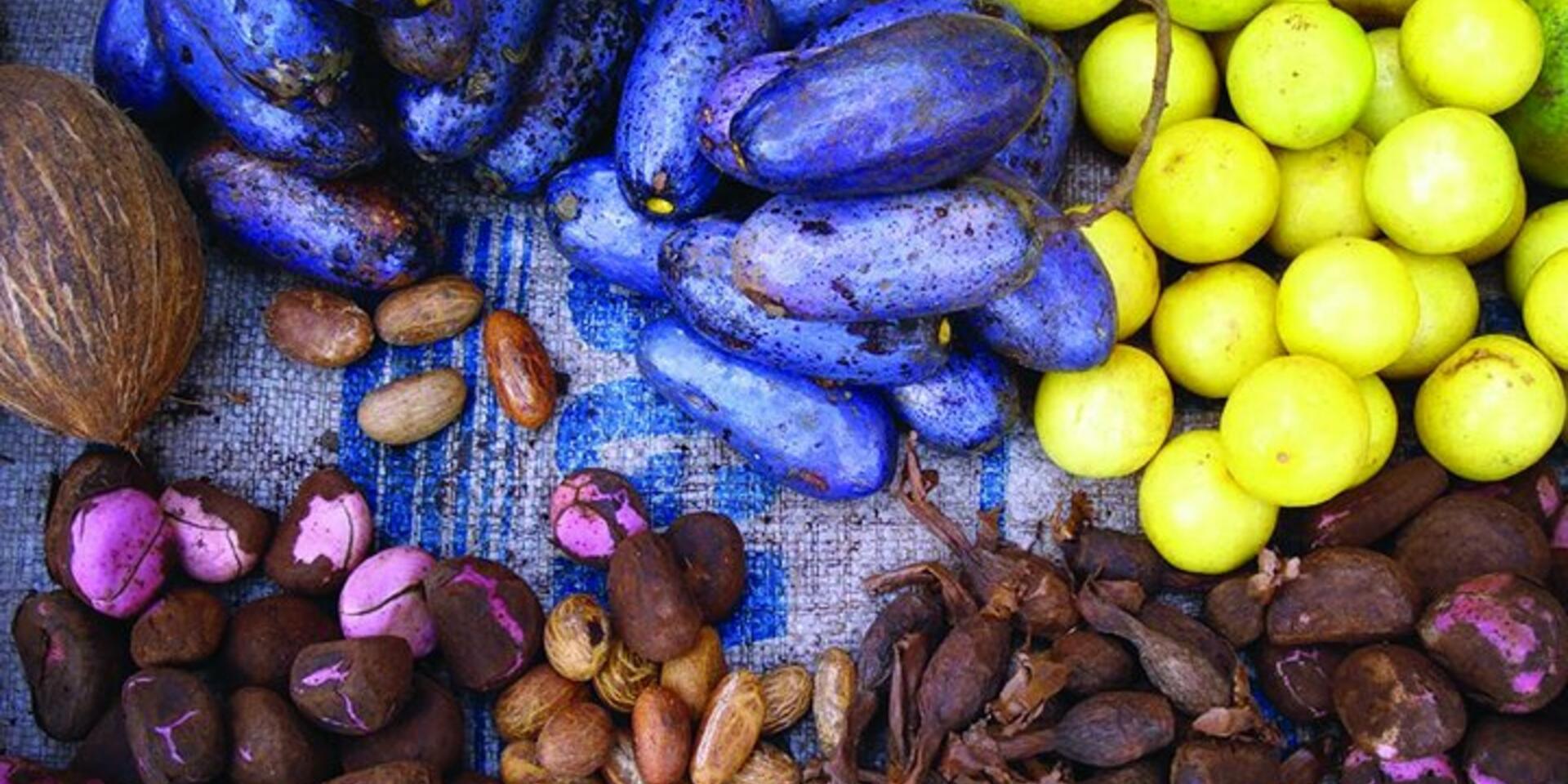 Forest foods: Sustainable and resilient
