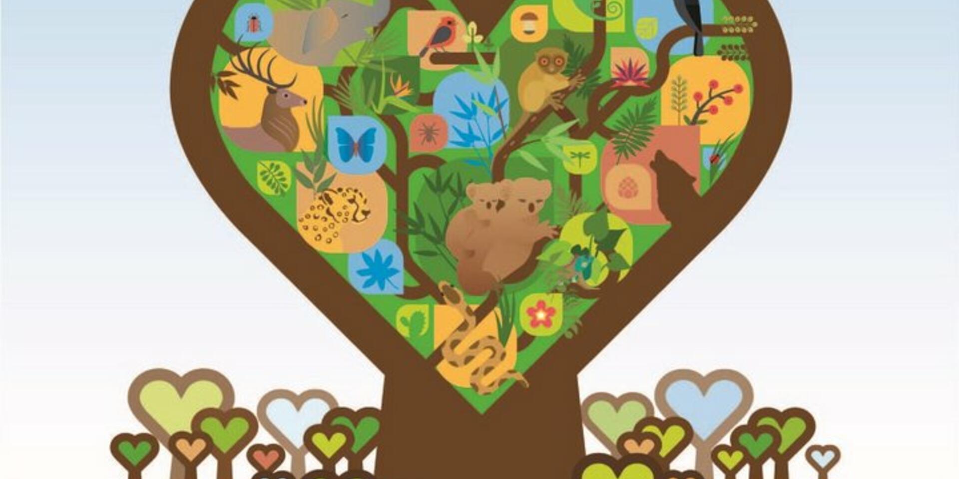 An Alliance for Trees: Why forest biodiversity is "too precious to lose"