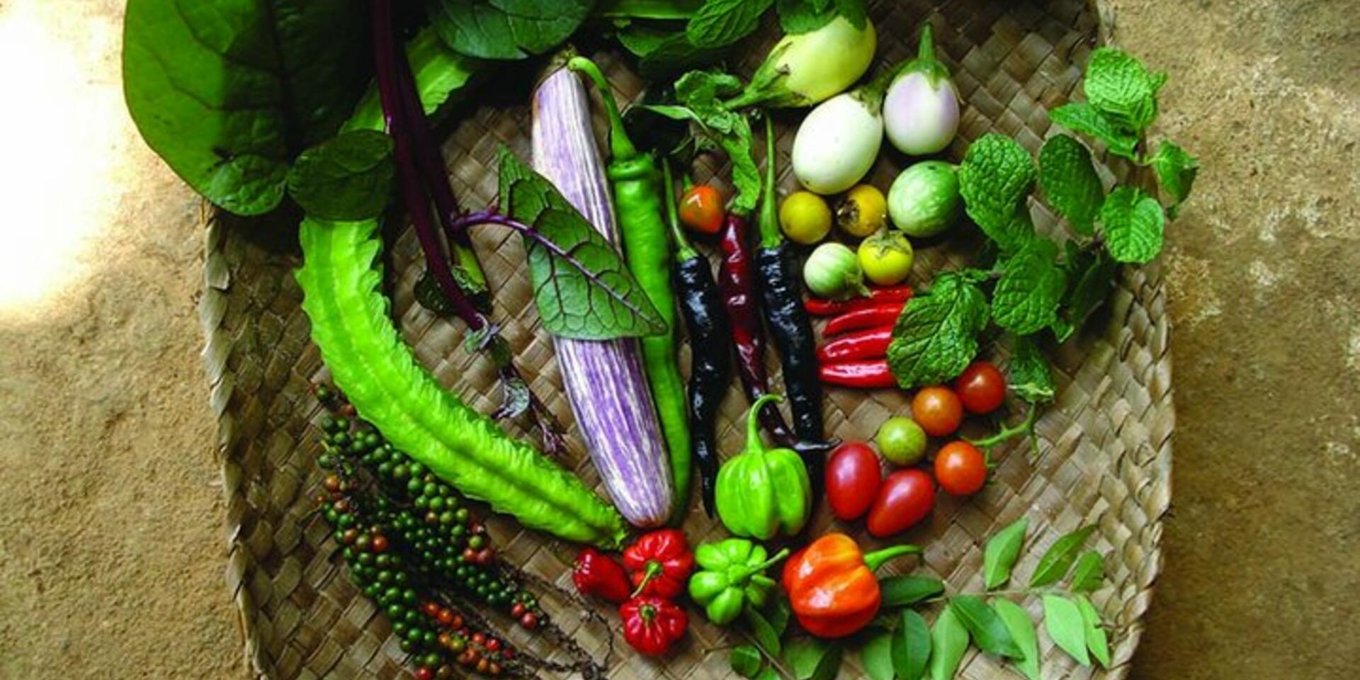 Big results from small plots: Home gardens in Nepal