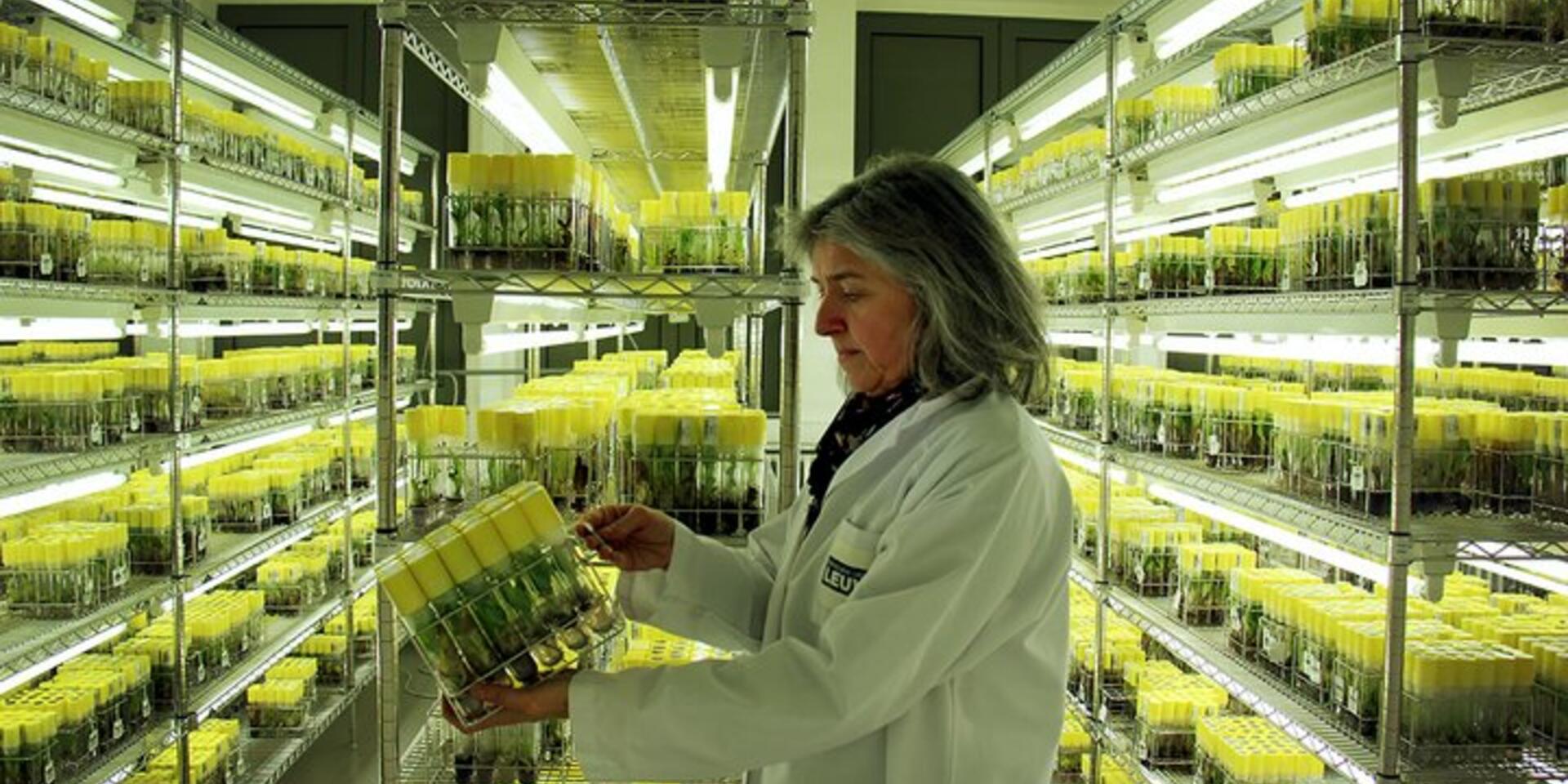 Investing in safeguarding crop diversity for a food-secure future