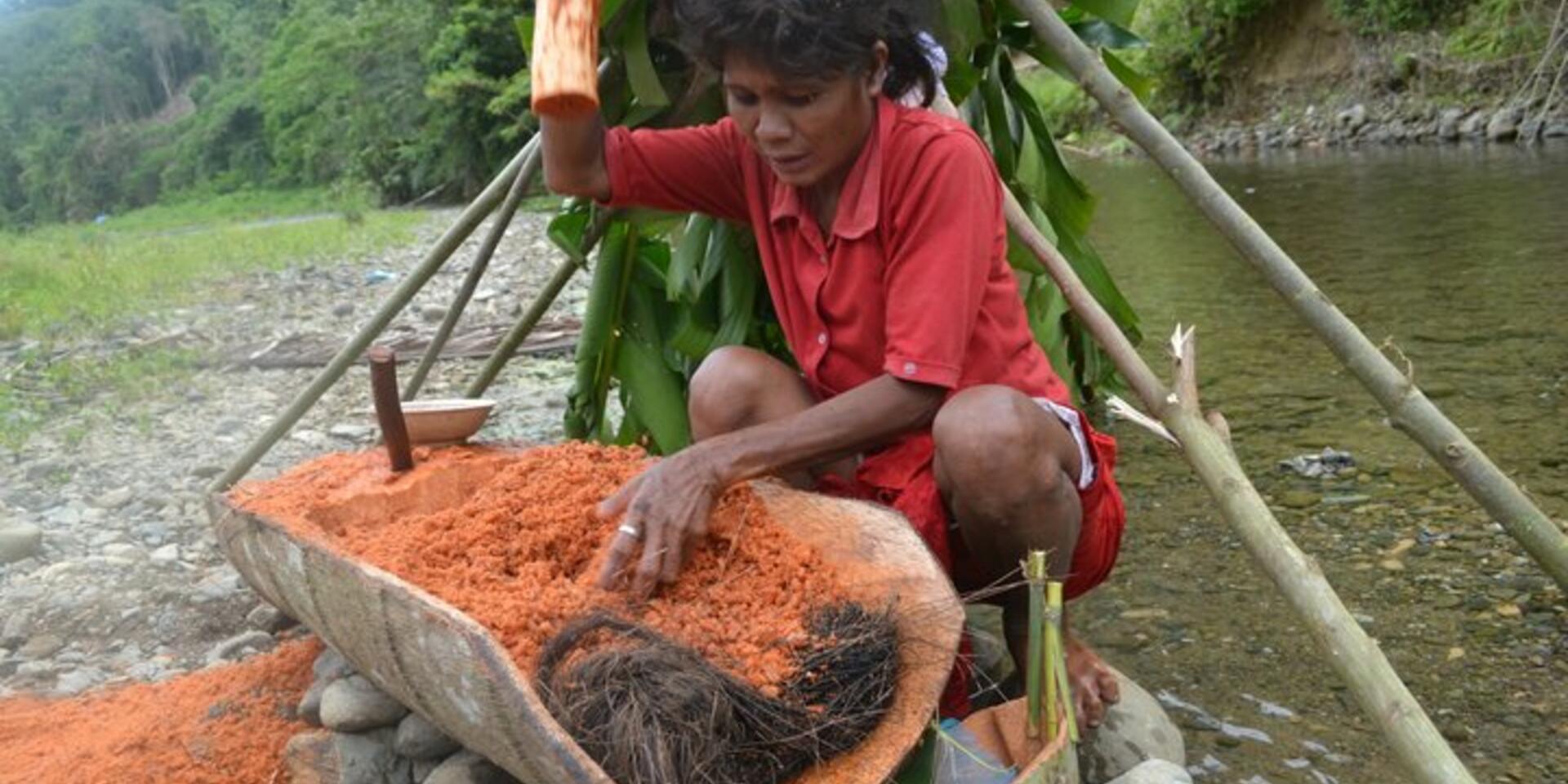 The sacredness of the Pugahan tree - an interview with one of the photo contest winners