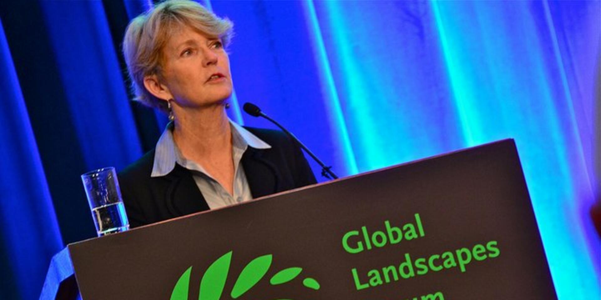 To change the outlook of climate change, landscapes and biodiversity are part of the equation