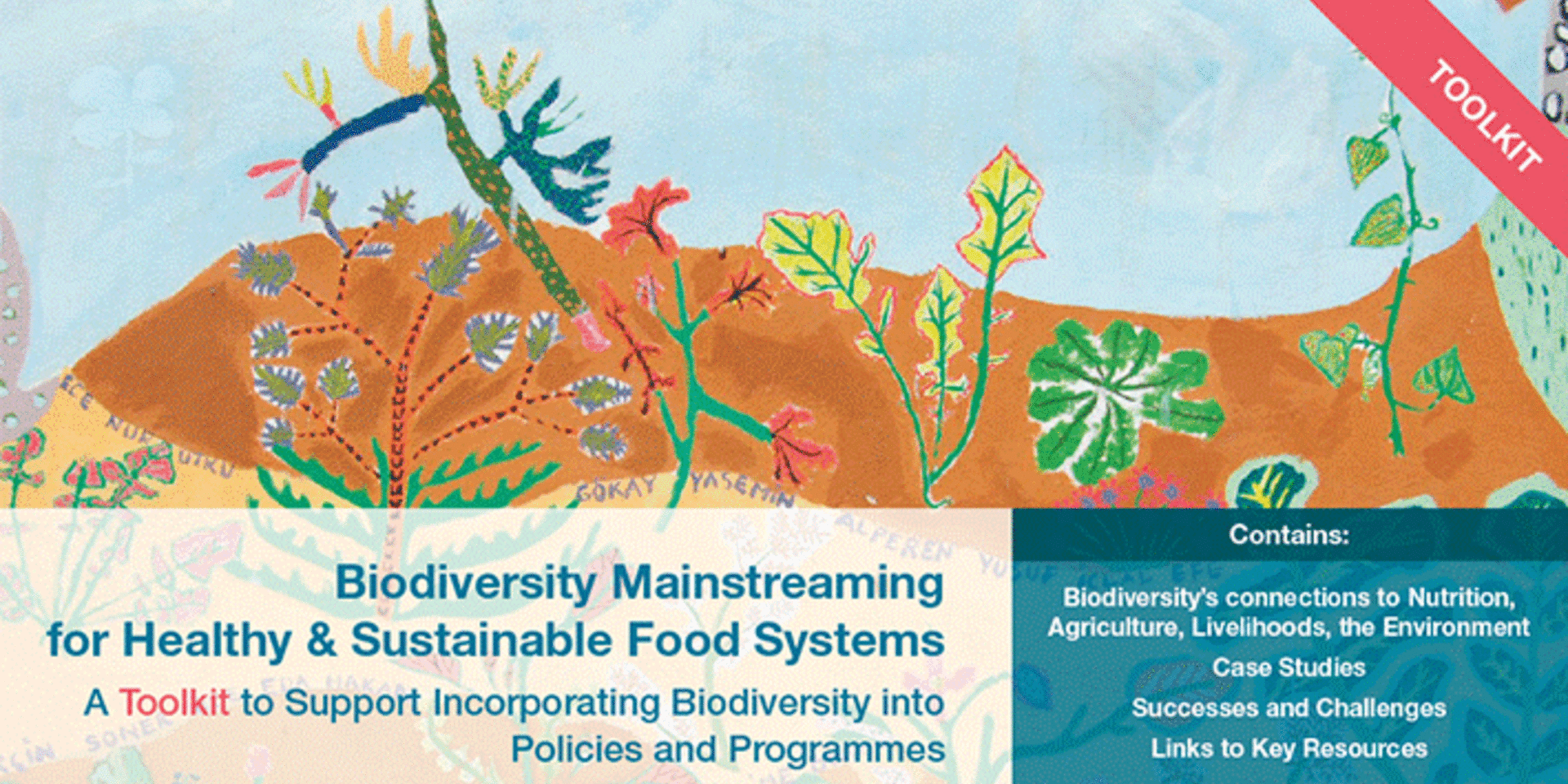 Toolkit Launch: Mainstreaming Biodiversity for Food and Nutrition