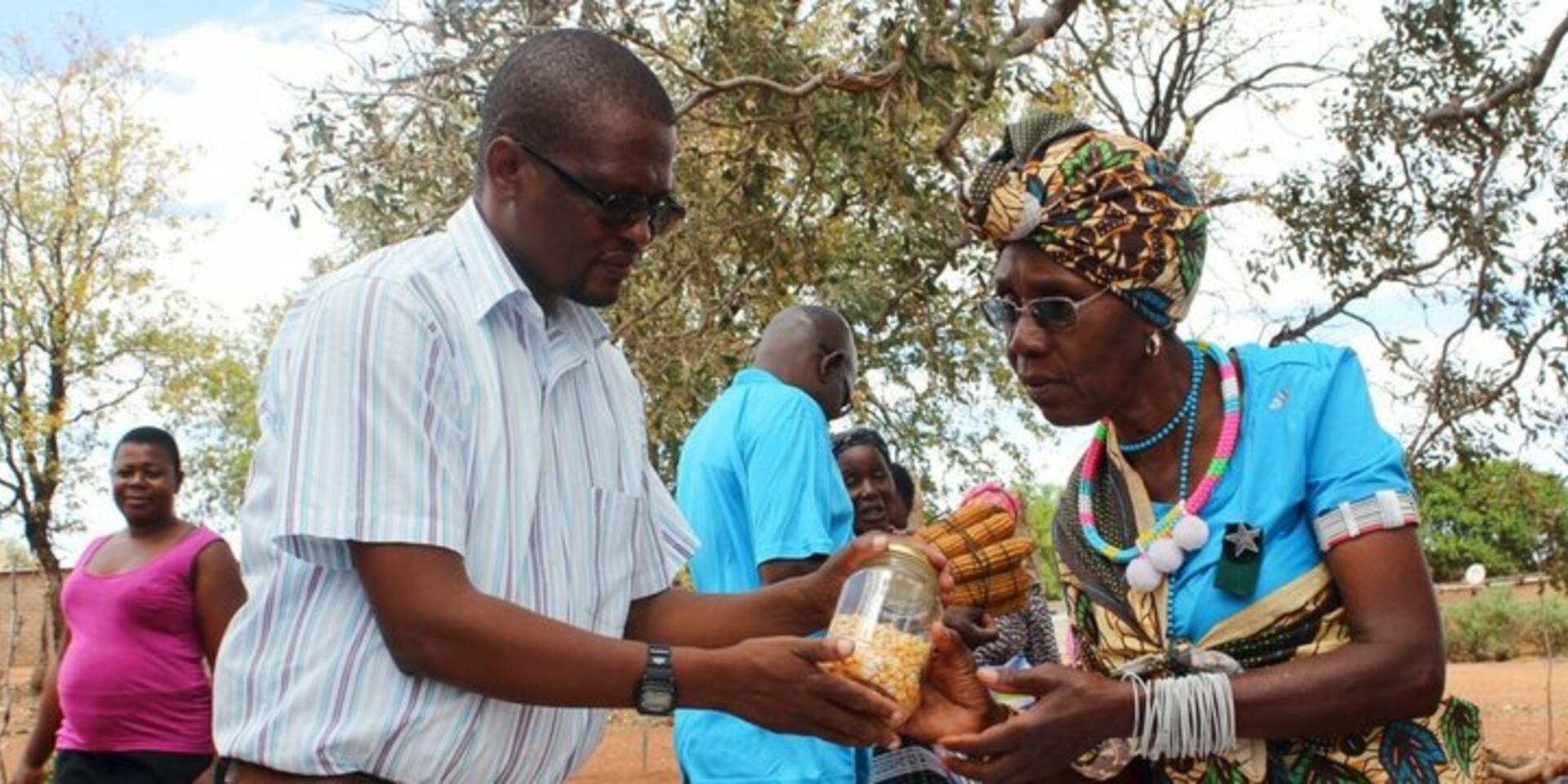Stepping it up for gender equality at Bioversity International