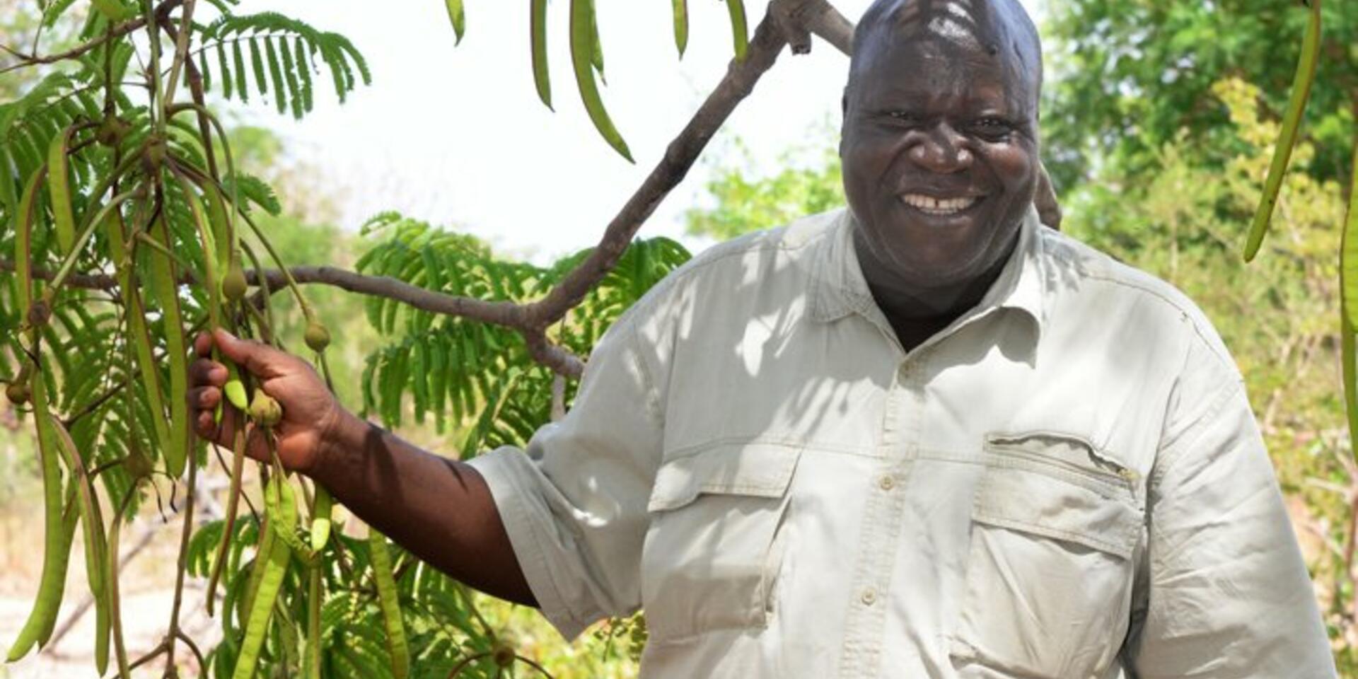 Why seeds for trees matter in ecosystem restoration efforts in Burkina Faso