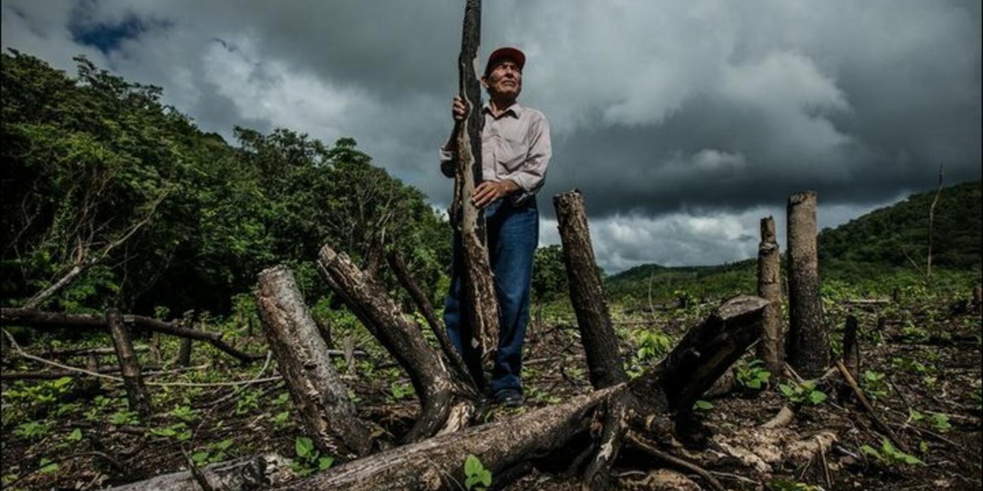 Handing communities the management of a Guatemalan forest