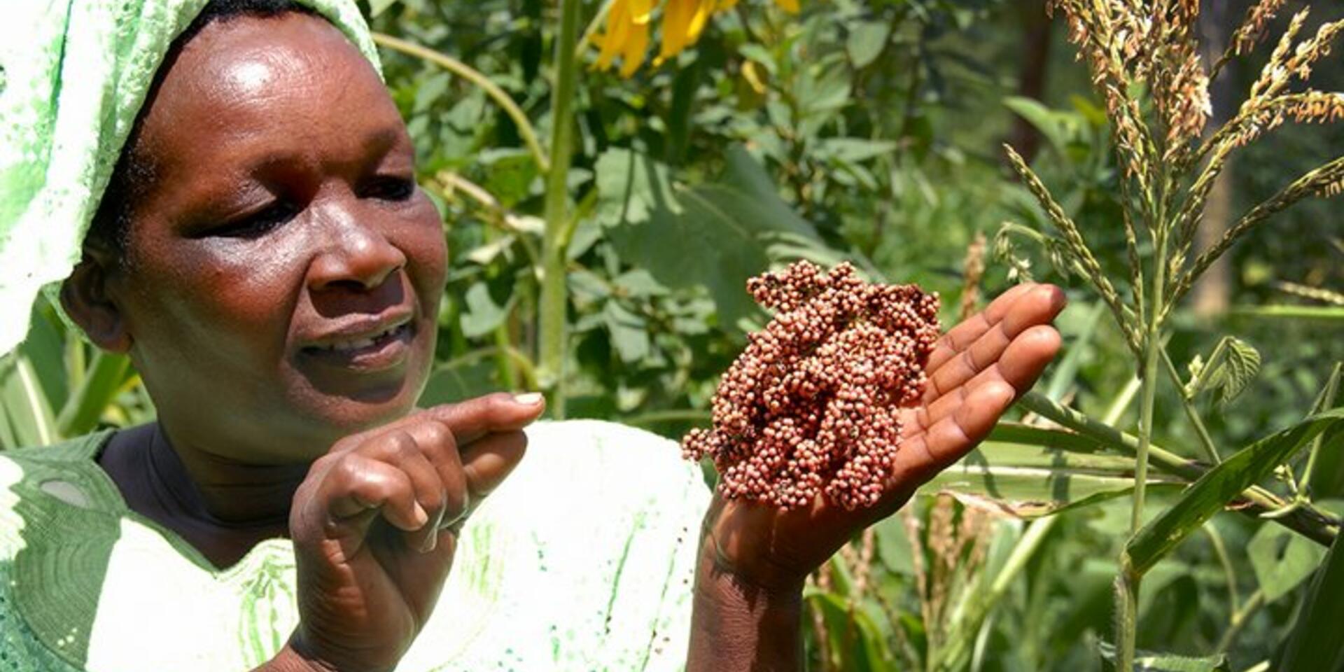 Agricultural biodiversity &ndash; Use it or lose it!