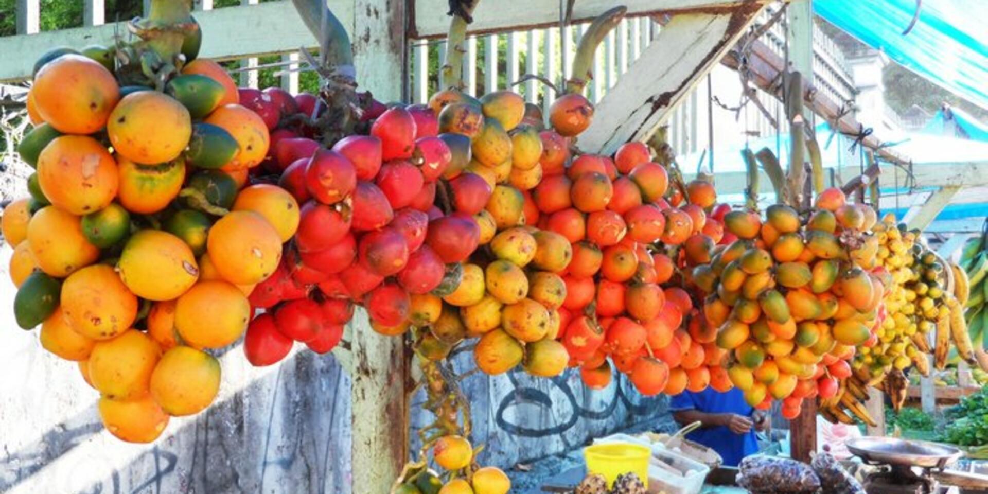 Putting biodiversity back on the menu in Brazil