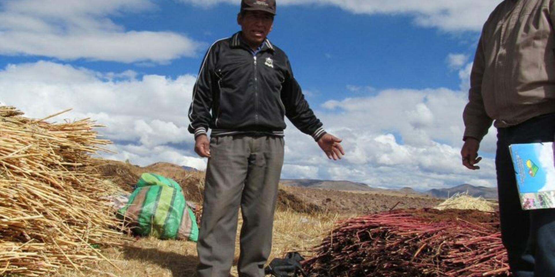 Agricultural biodiversity: a cornerstone for family farm adaptation to climate change