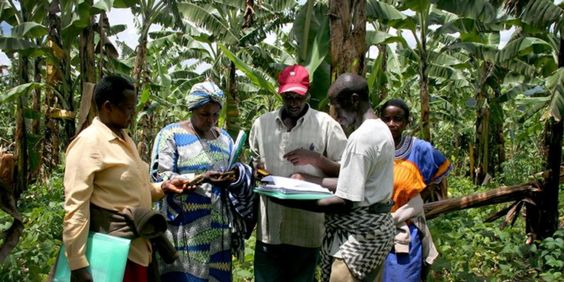 The effectiveness of knowledge sharing: The case of ProMusa, a global knowledge platform on banana