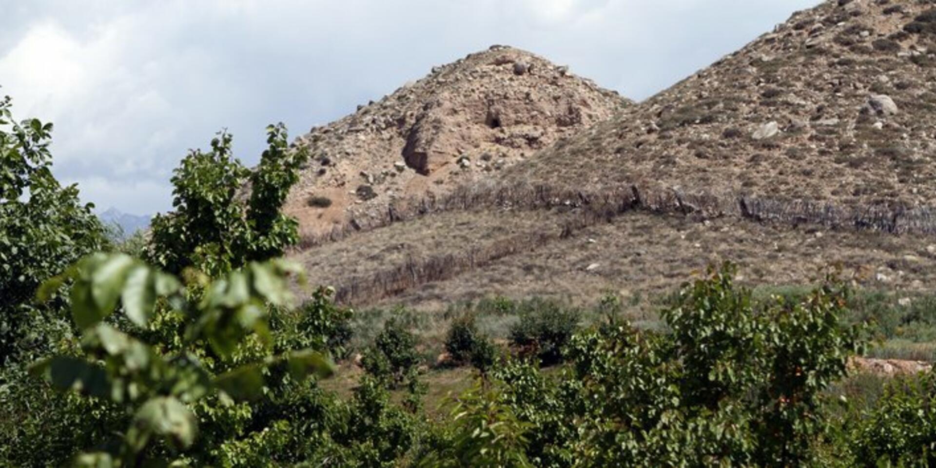 Fruit trees key to restoring degraded land in Central Asia
