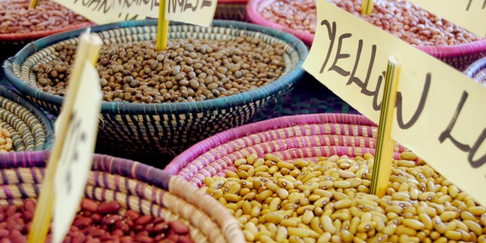 Access and benefit sharing of genetic resources &ndash; making it work for family farmers