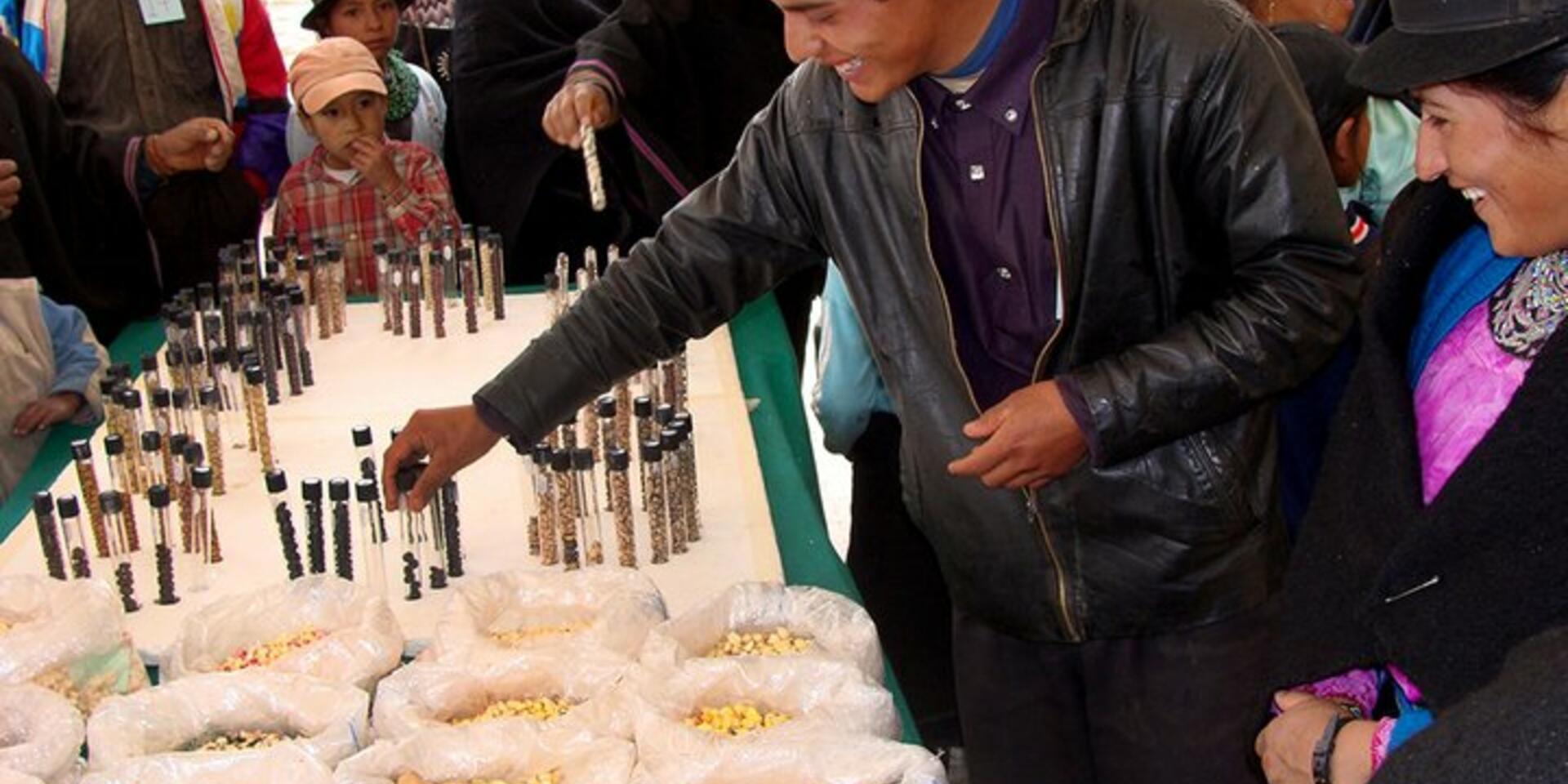A fresh look at crop seeds for healthy diets