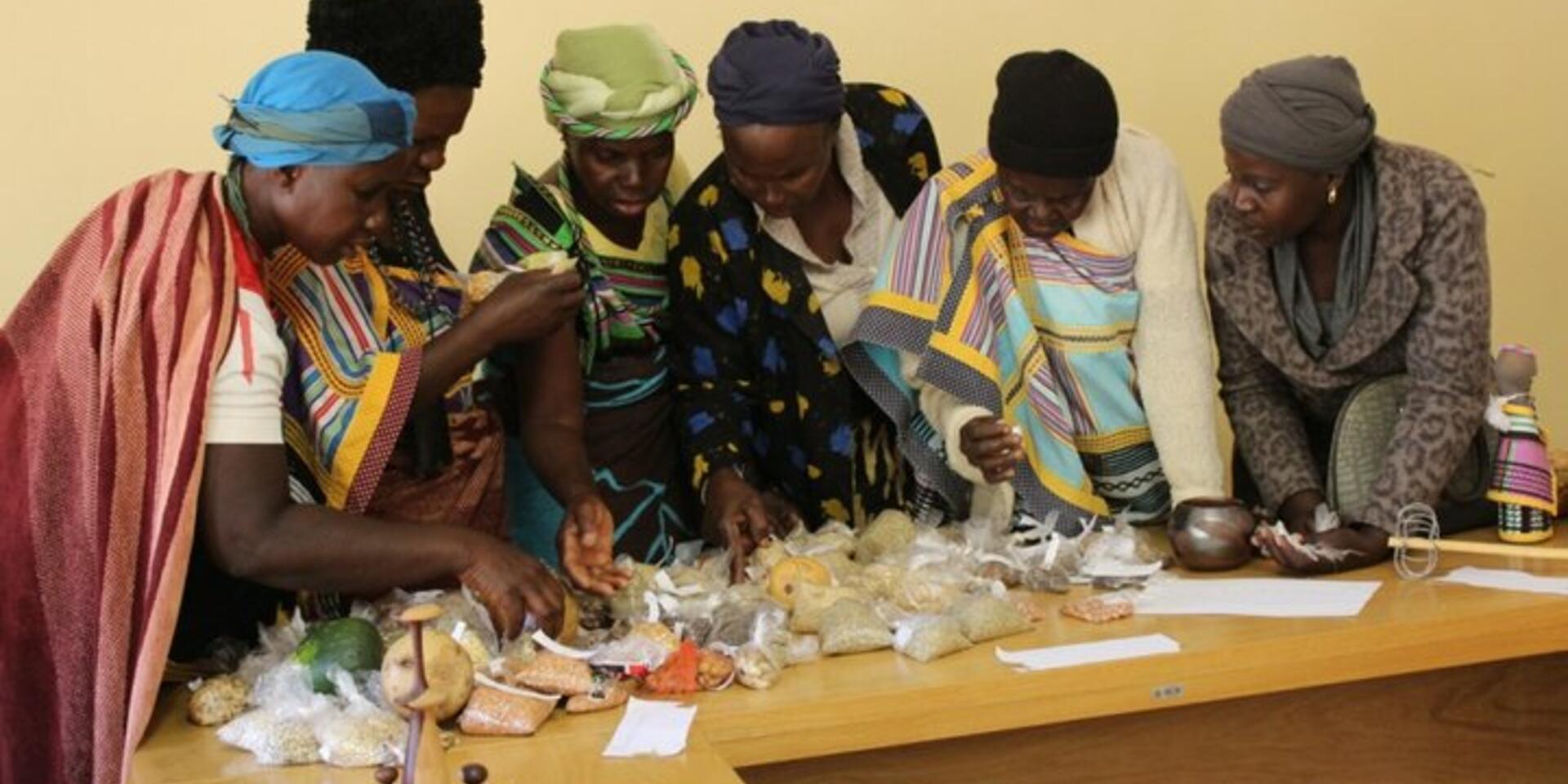 Powerful crops &ndash; empowering farmers through community seed banks in South Africa