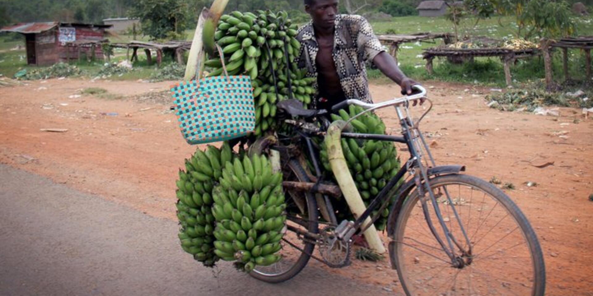 CGIAR site integration in Uganda: developments and recommendations
