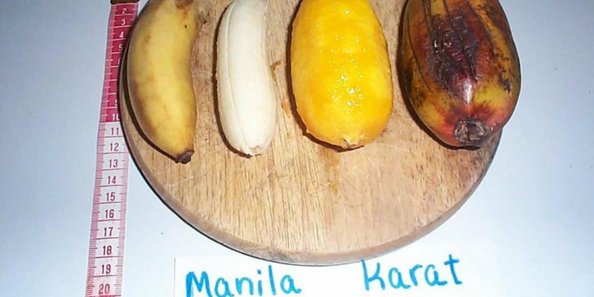 Mining banana biodiversity to reduce vitamin A deficiencies in East Africa