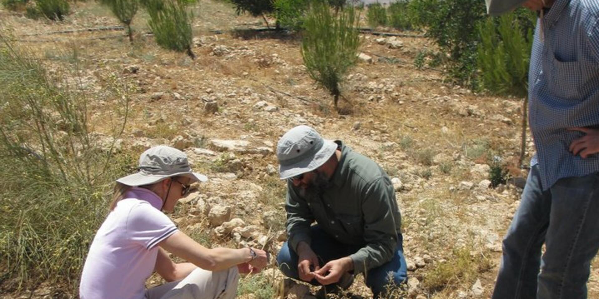 Historic seed samples to monitor genetic variation
