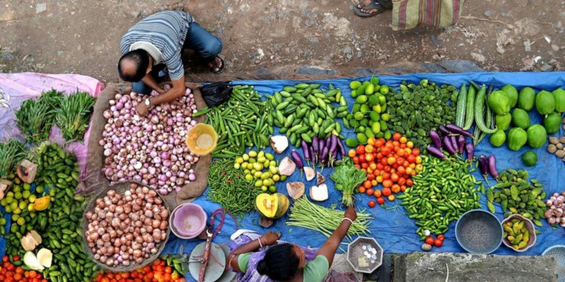 Dietary diversity and biofortification &ndash; Closer than you think