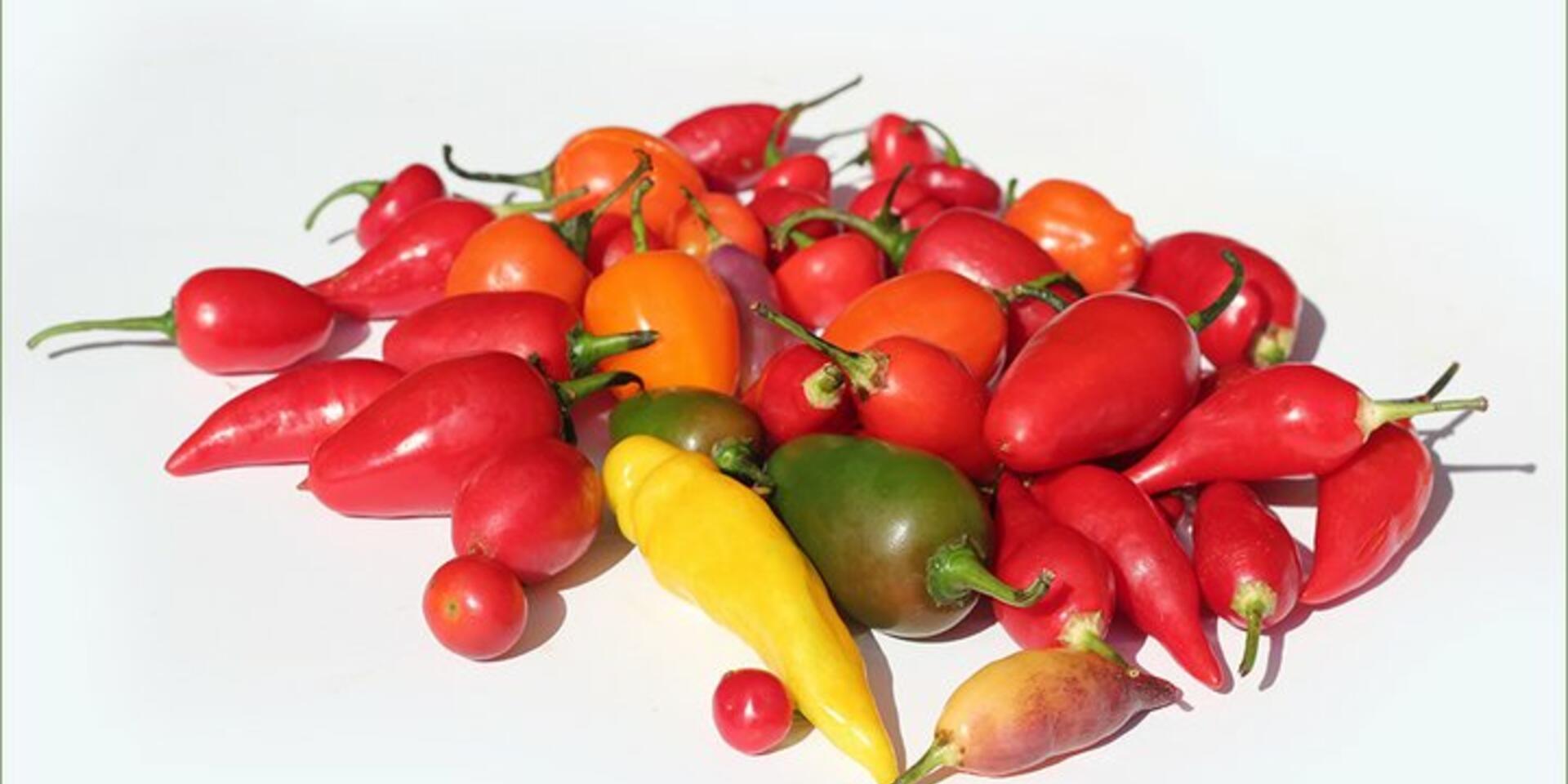 Traits for taste: Spicing up the chilli market in Bolivia and Peru
