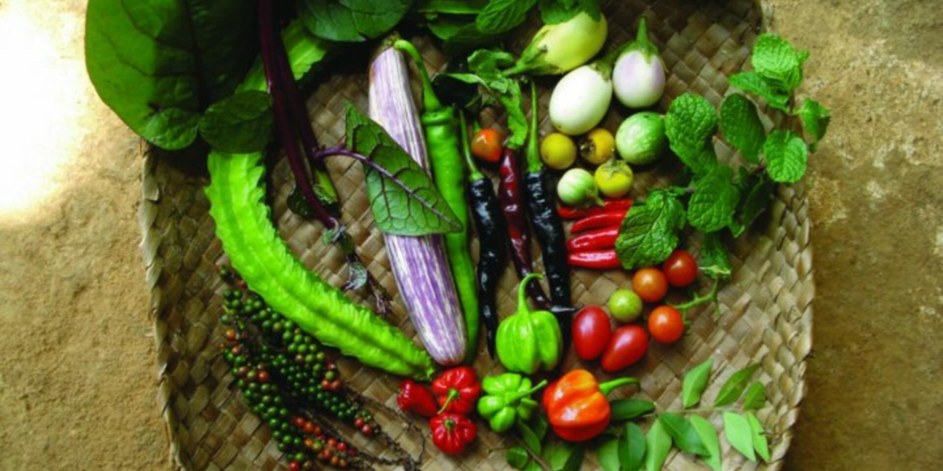 Dietary Species Richness, an important measure of a healthy diet