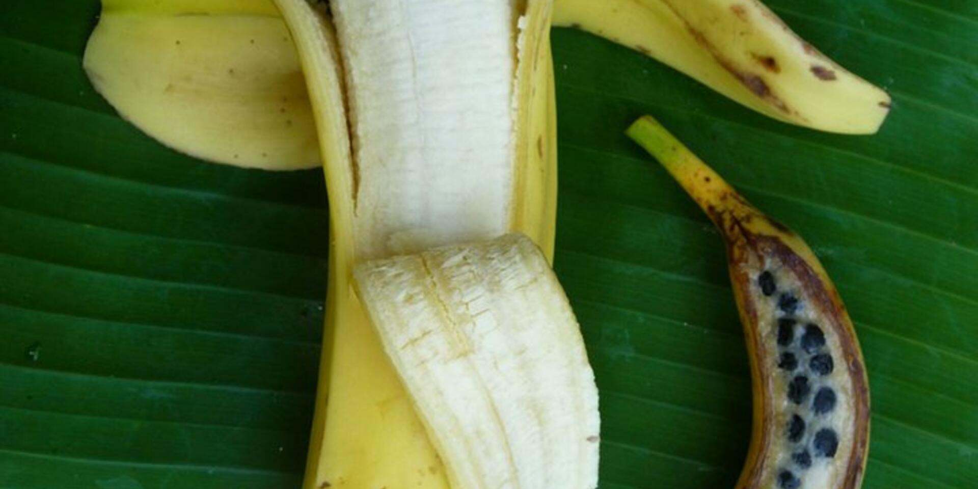 Al Jazeera writes about the need to diversify banana production